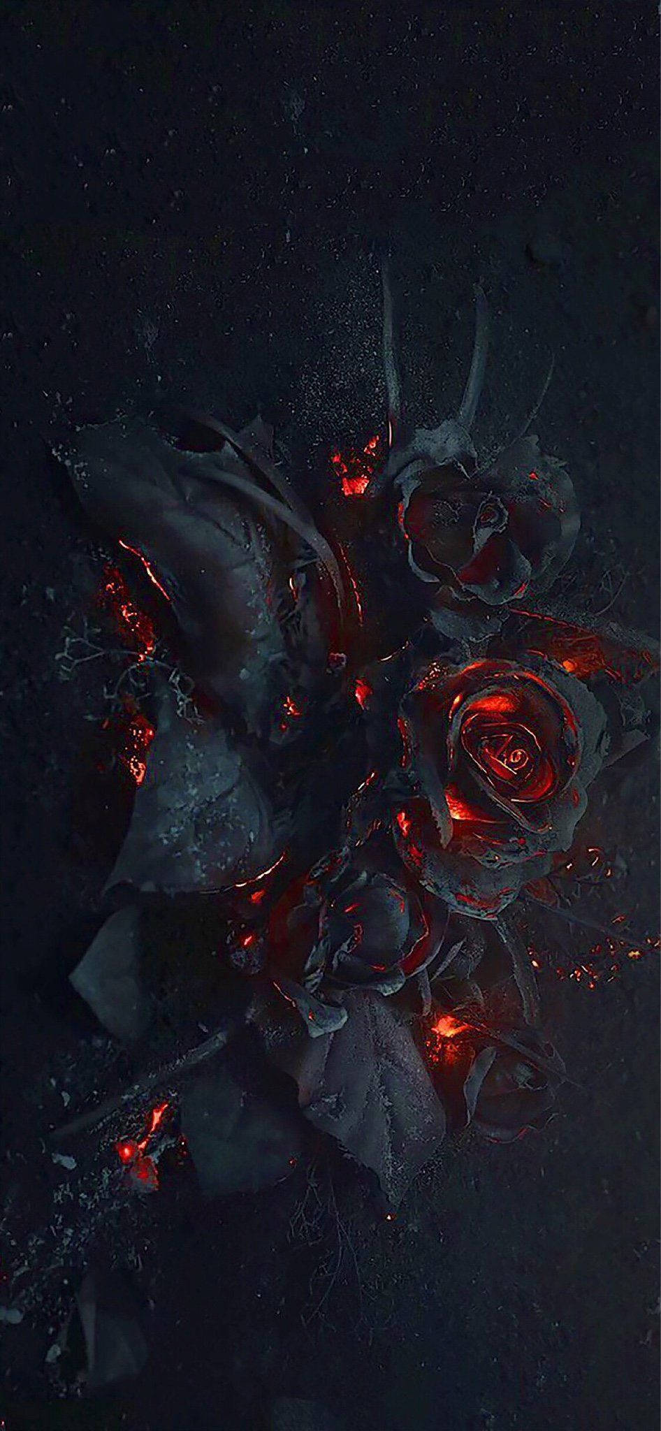en sort og rød rose med flammer på Wallpapers