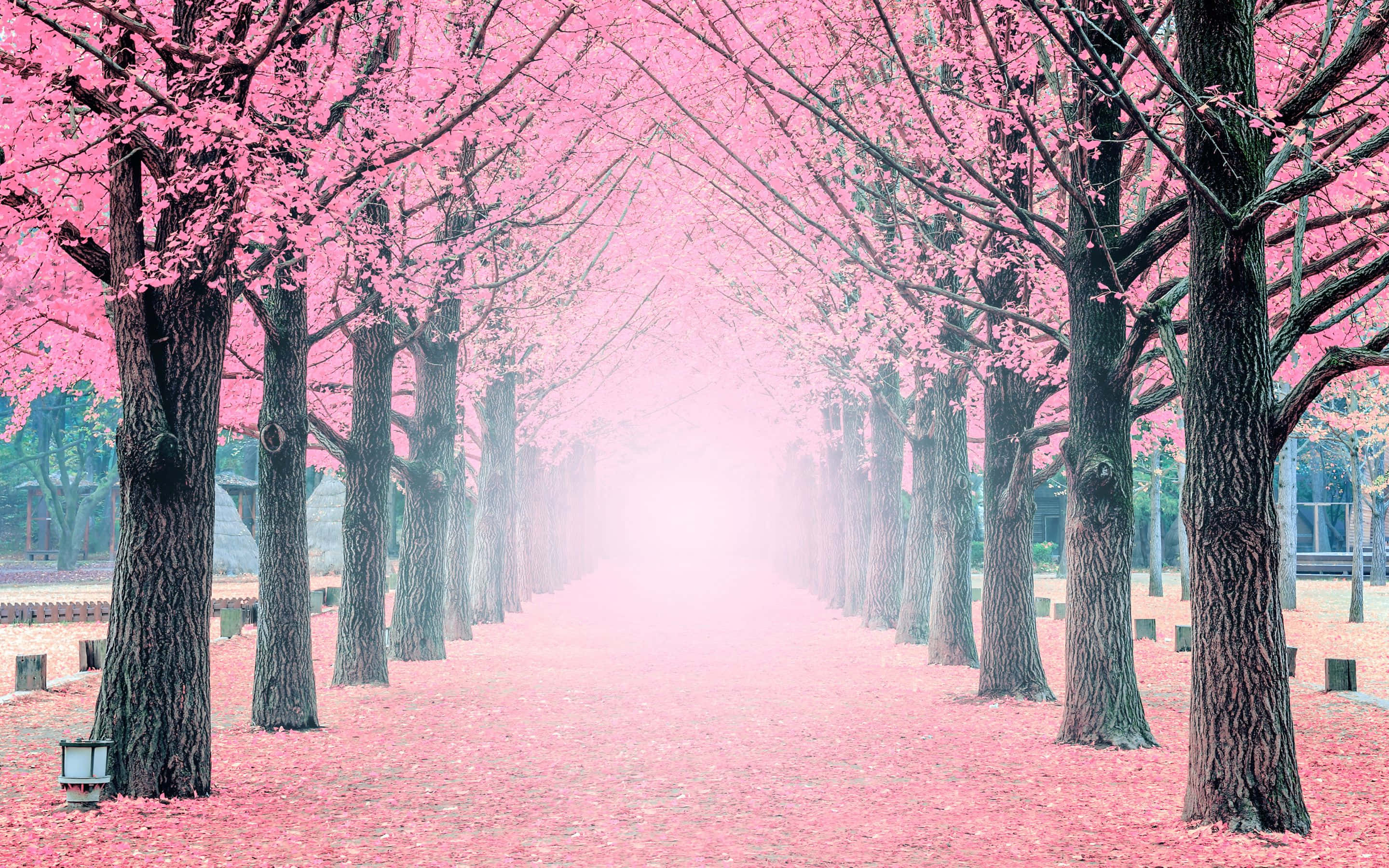 En stenstrand og rullende hav Wallpapers