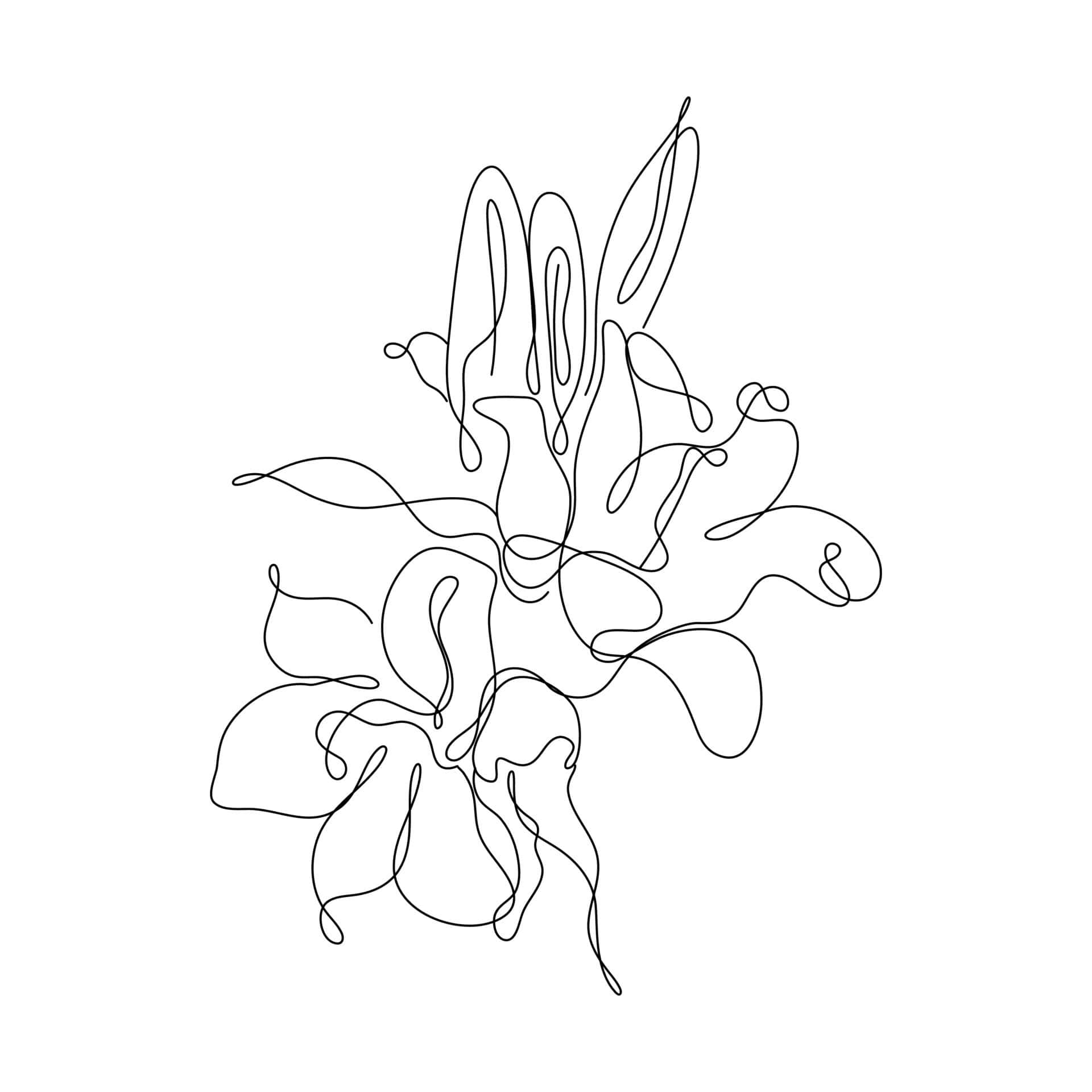 en stregtegning af en blomst Wallpapers
