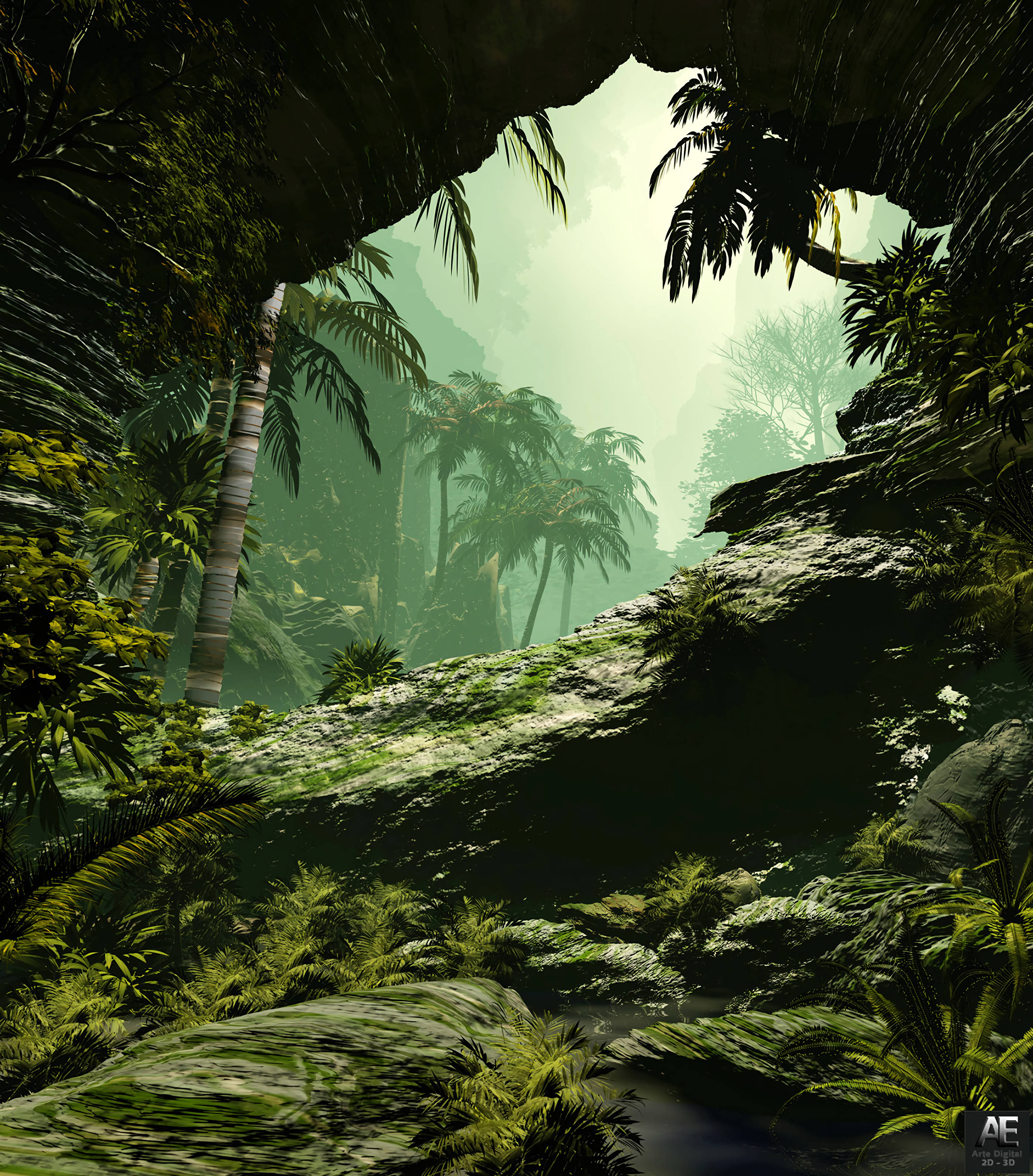 En tur gennem den tågede jungle Wallpapers