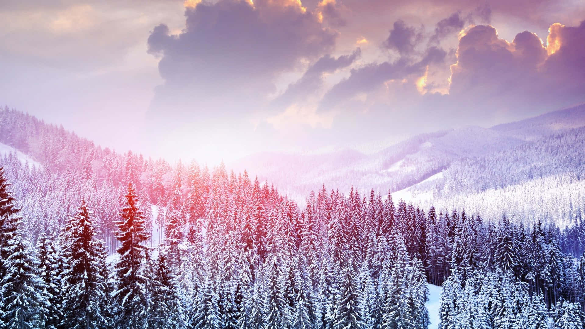 En udsigt over sneklædte bjerge strækker sig ud i al sin vinterpragt Wallpapers