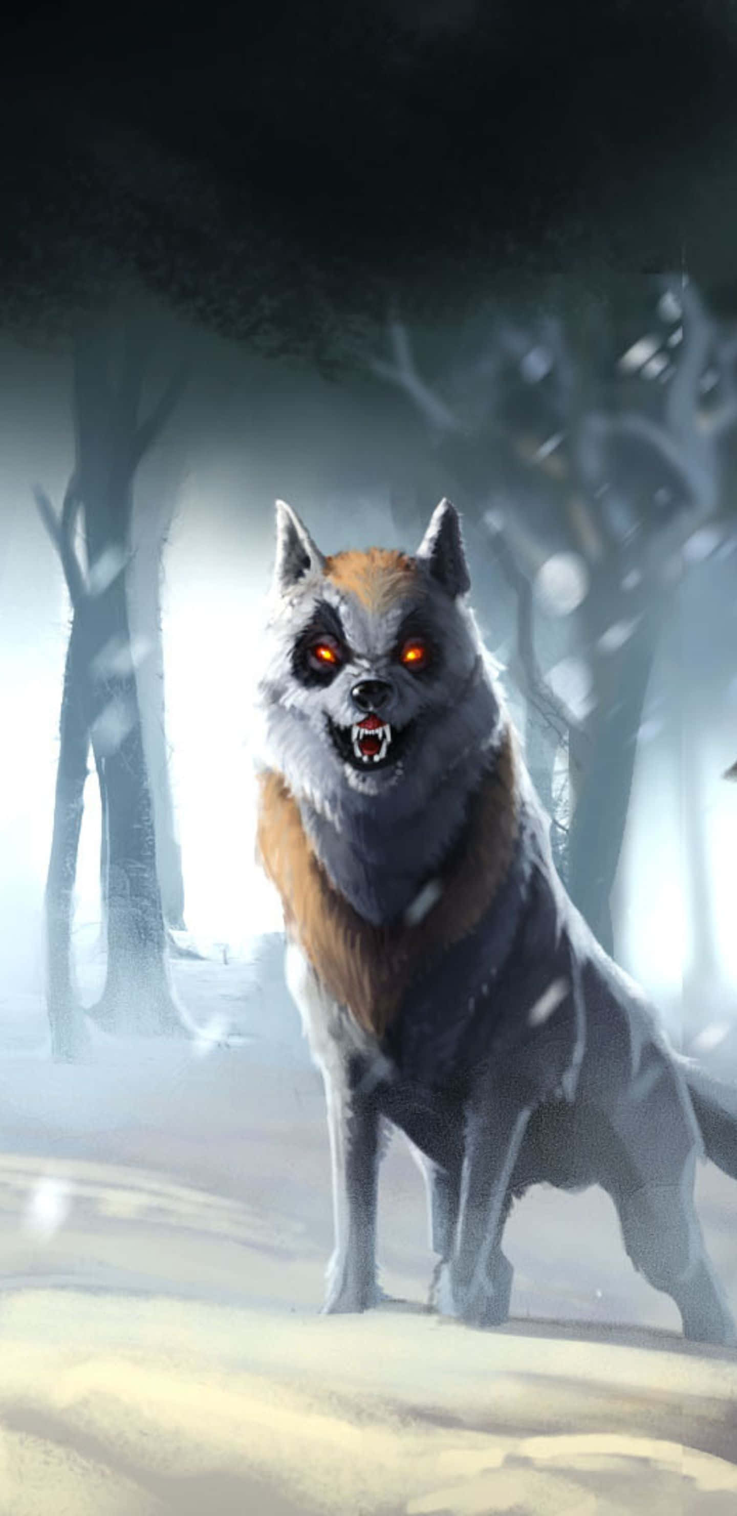 en ulv i sneen med røde øjne Wallpapers
