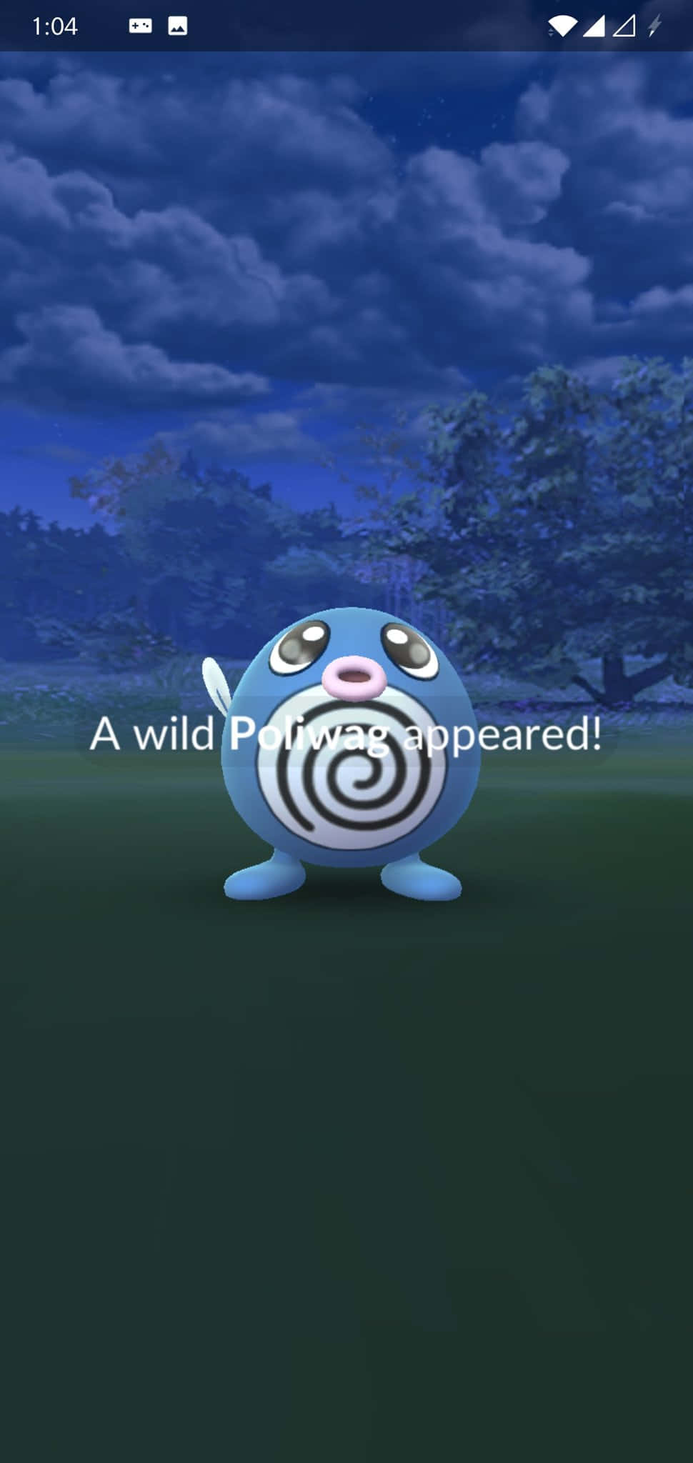 En vild Poliwag dukkede op Wallpapers