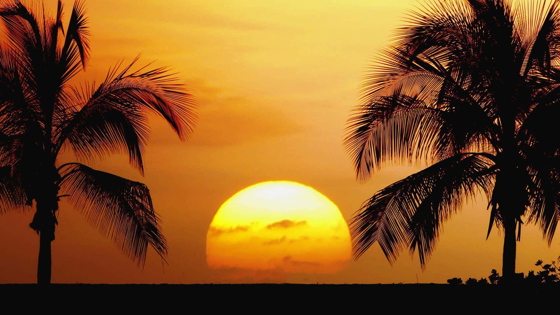 Endeløs solskin ved stranden Wallpapers