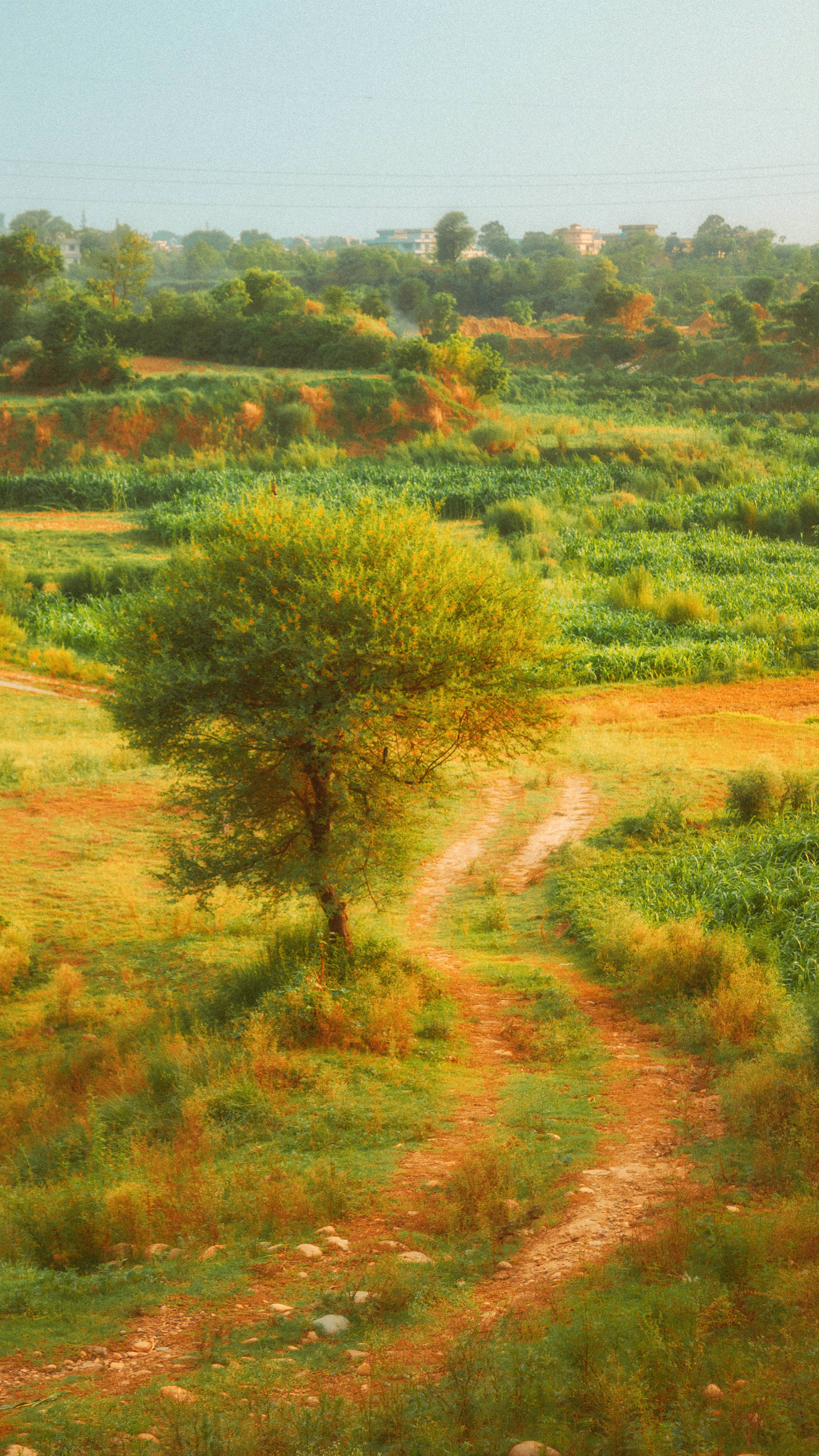 Engsti Cottagecore Æstetik Wallpapers
