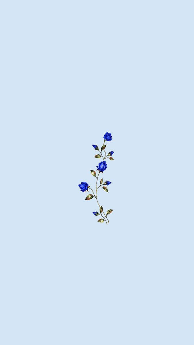 Enkel blå æstetik blå roser Wallpapers