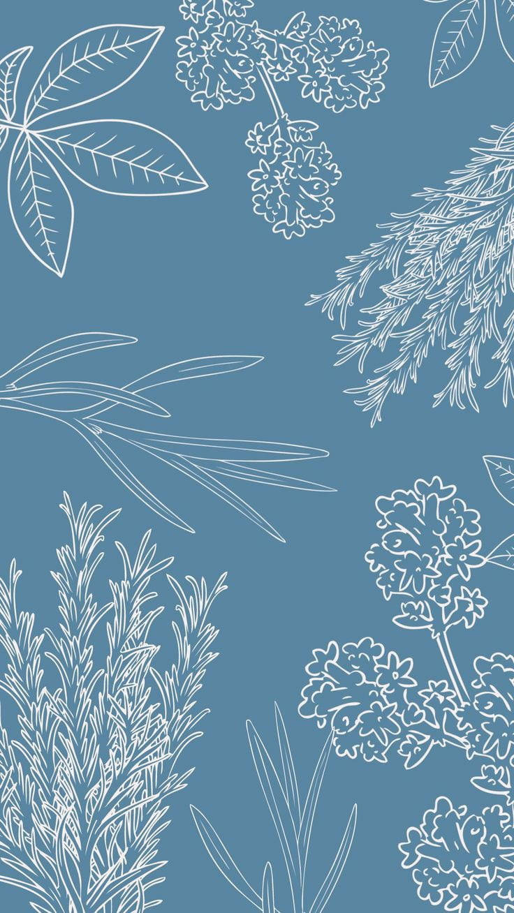 Enkel blå æstetisk planteillustration Wallpapers
