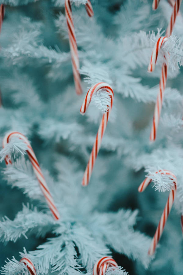Enkle juleknækbolcher Wallpapers