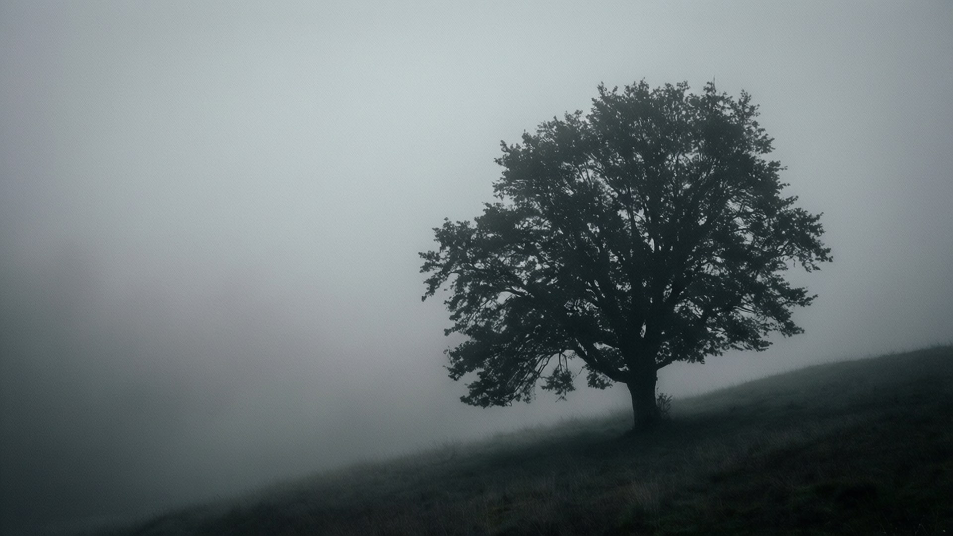 Ensomhed i tåget bakkeland Wallpapers