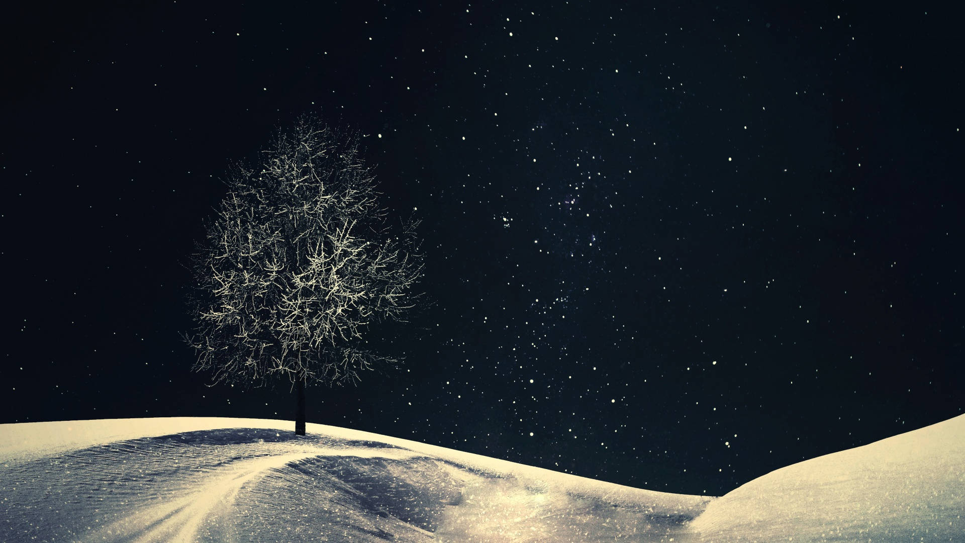 Ensomt træ vinteræstetik Wallpapers