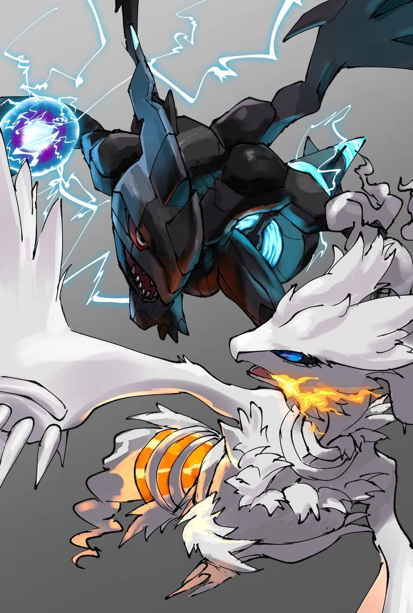 Episk Reshiram kæmper mod Zekrom Wallpapers