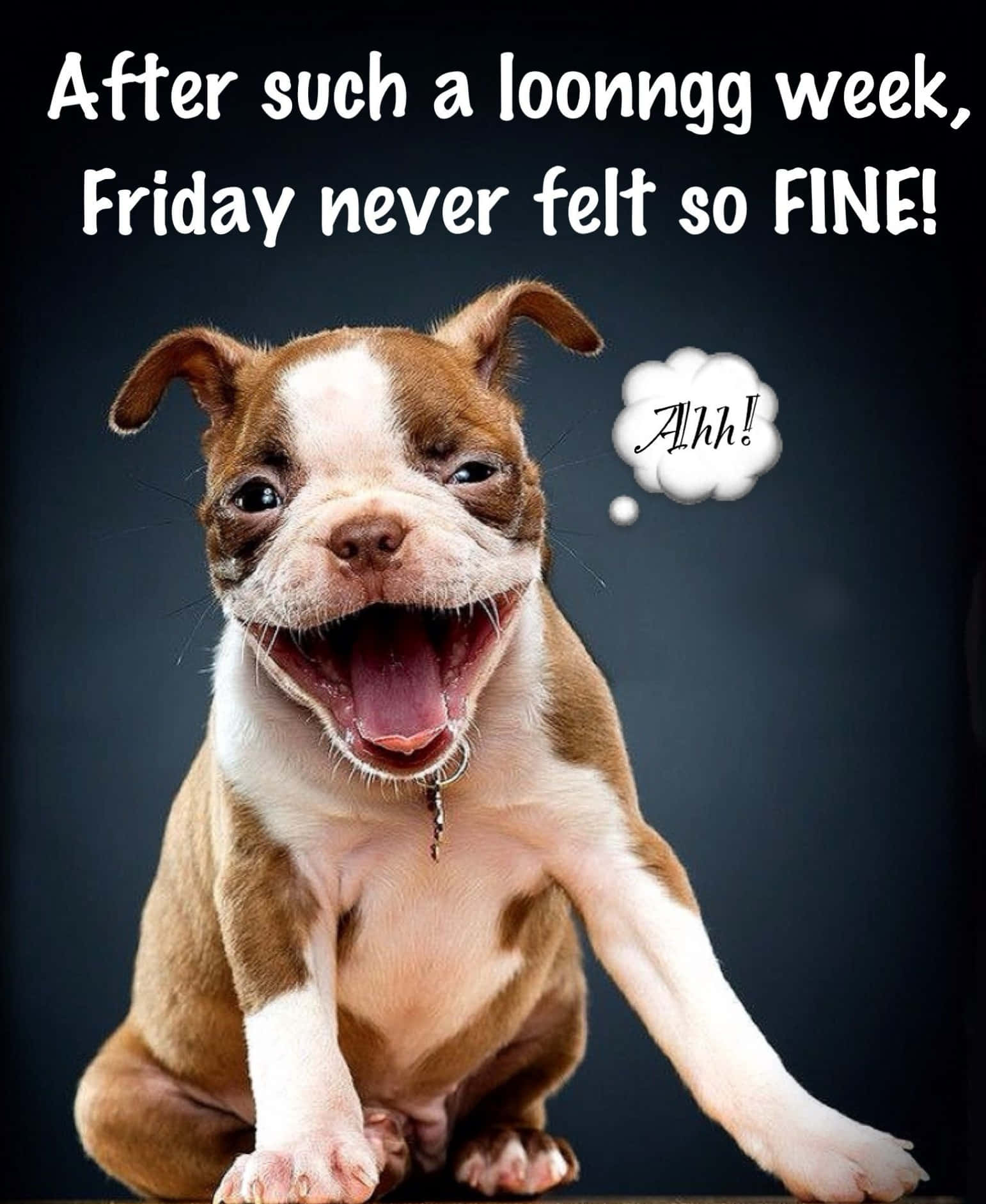 "Er det endelig fredag?" Wallpapers