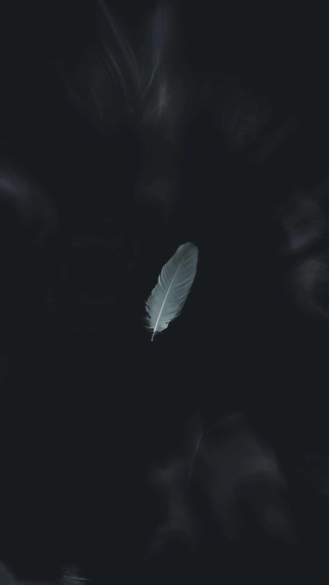 Et æstetisk sort-hvidt motiv Wallpapers