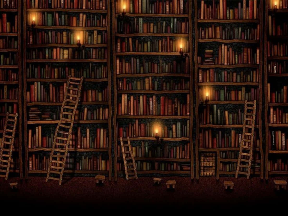 Et bibliotek med mange bøger og stiger Wallpapers