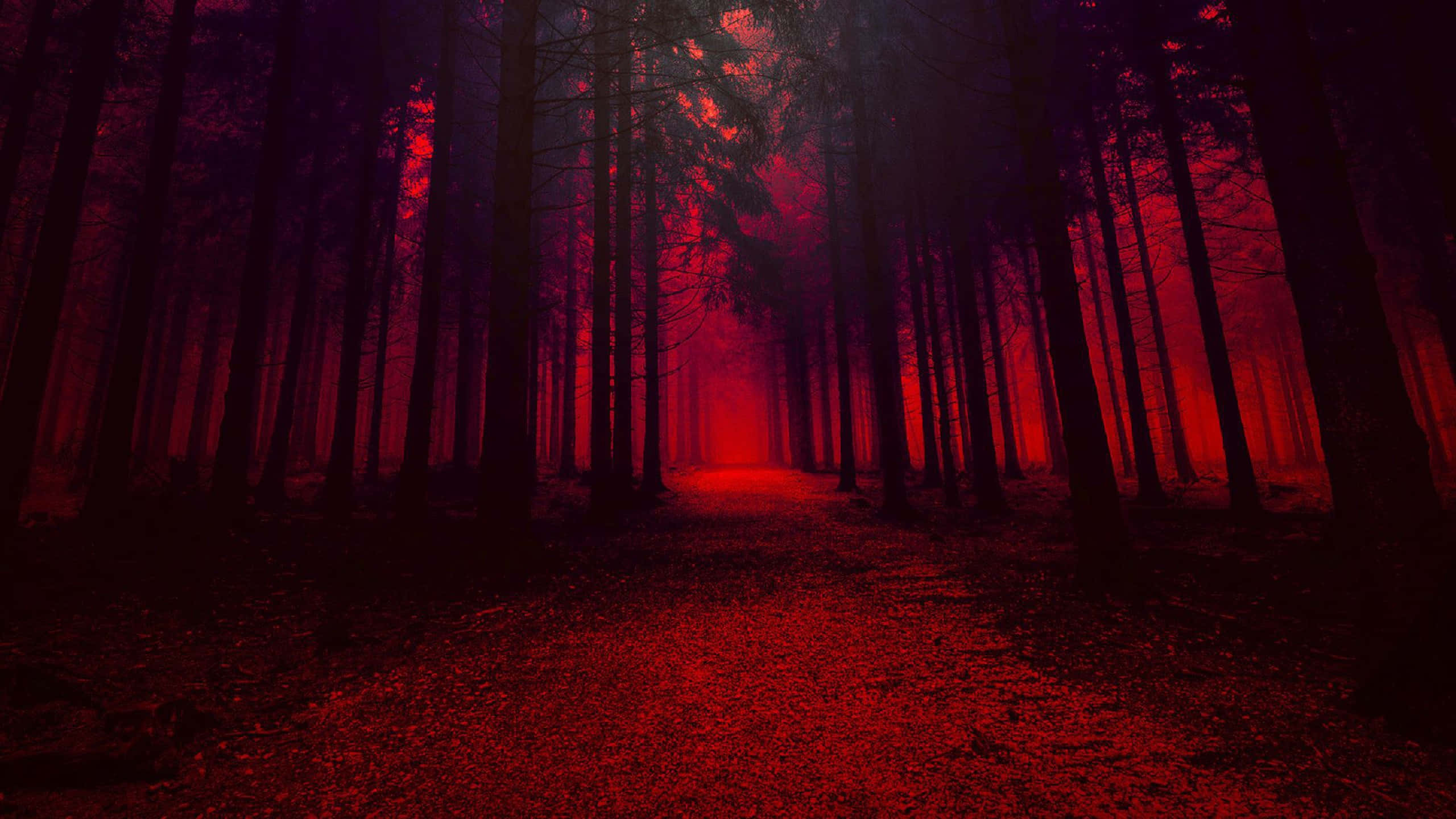 Et dristigt og smukt rødt æstetisk look Wallpapers