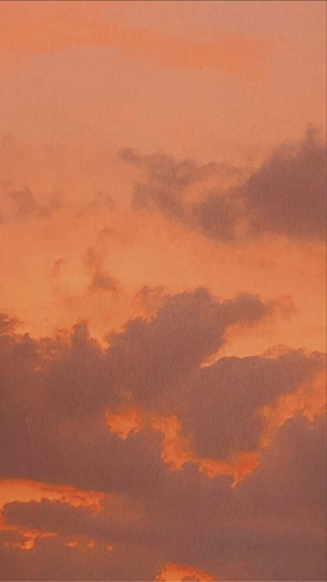 et fly der flyver på himlen Wallpapers