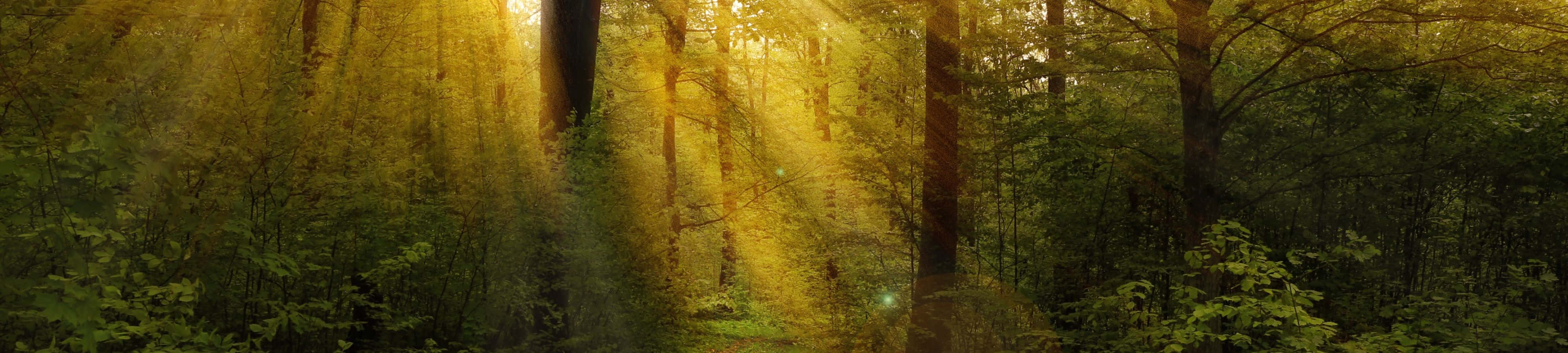 Et frisk pust - Ubesmittet natur i 4K Wallpapers