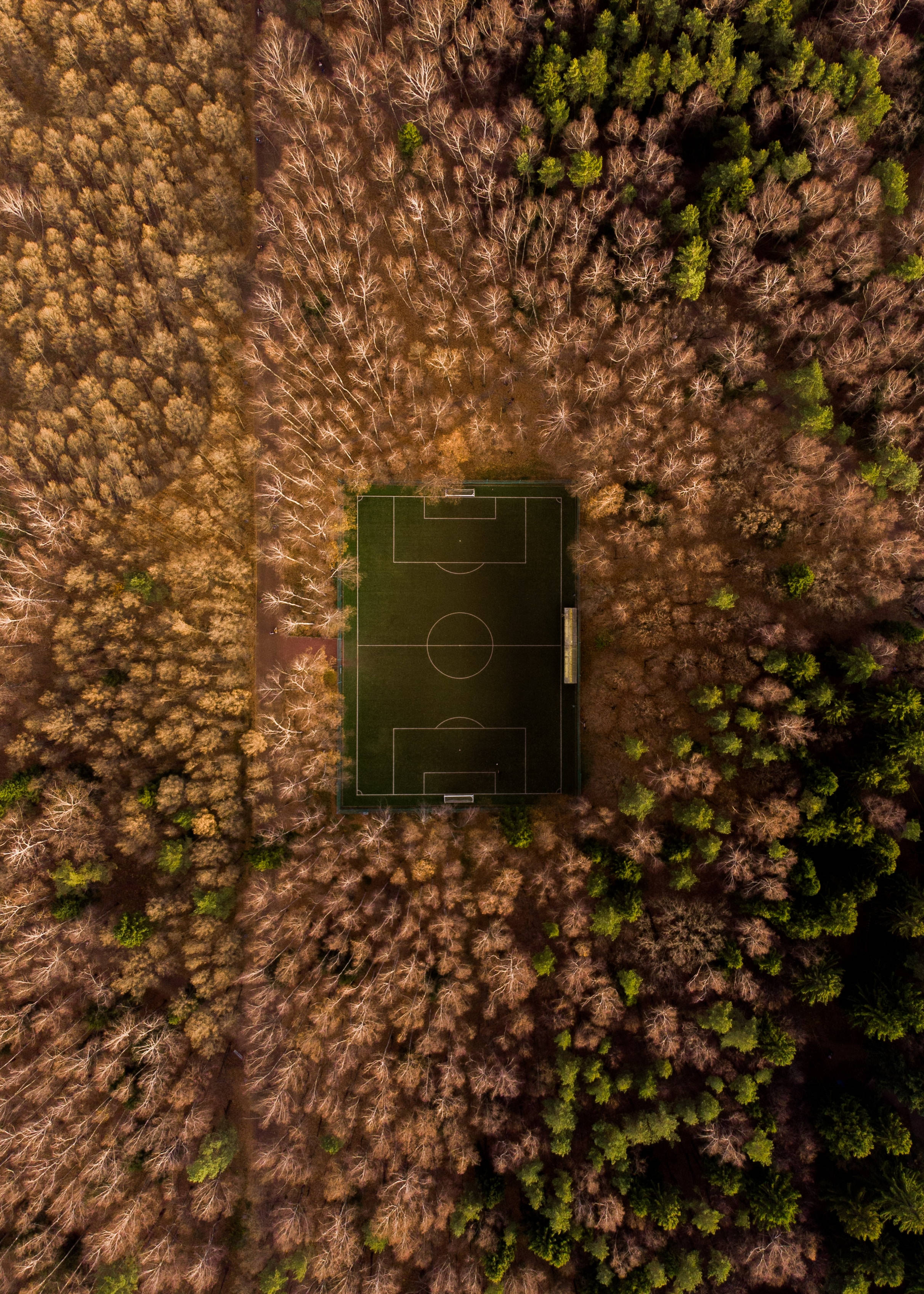 Et fugleperspektiv af en fodboldbane på en solskinsdag Wallpapers