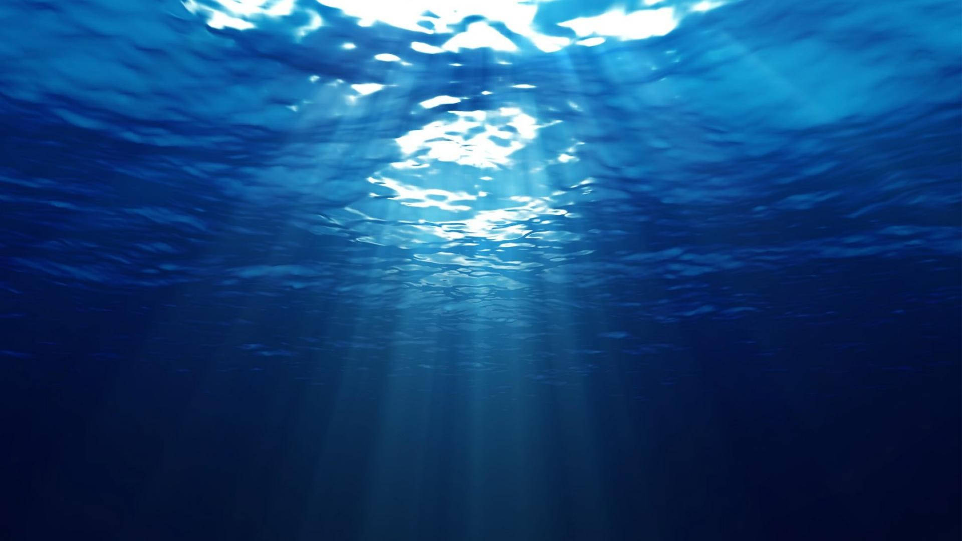 Et glødende vidunder fra undervandsverdenen Wallpapers