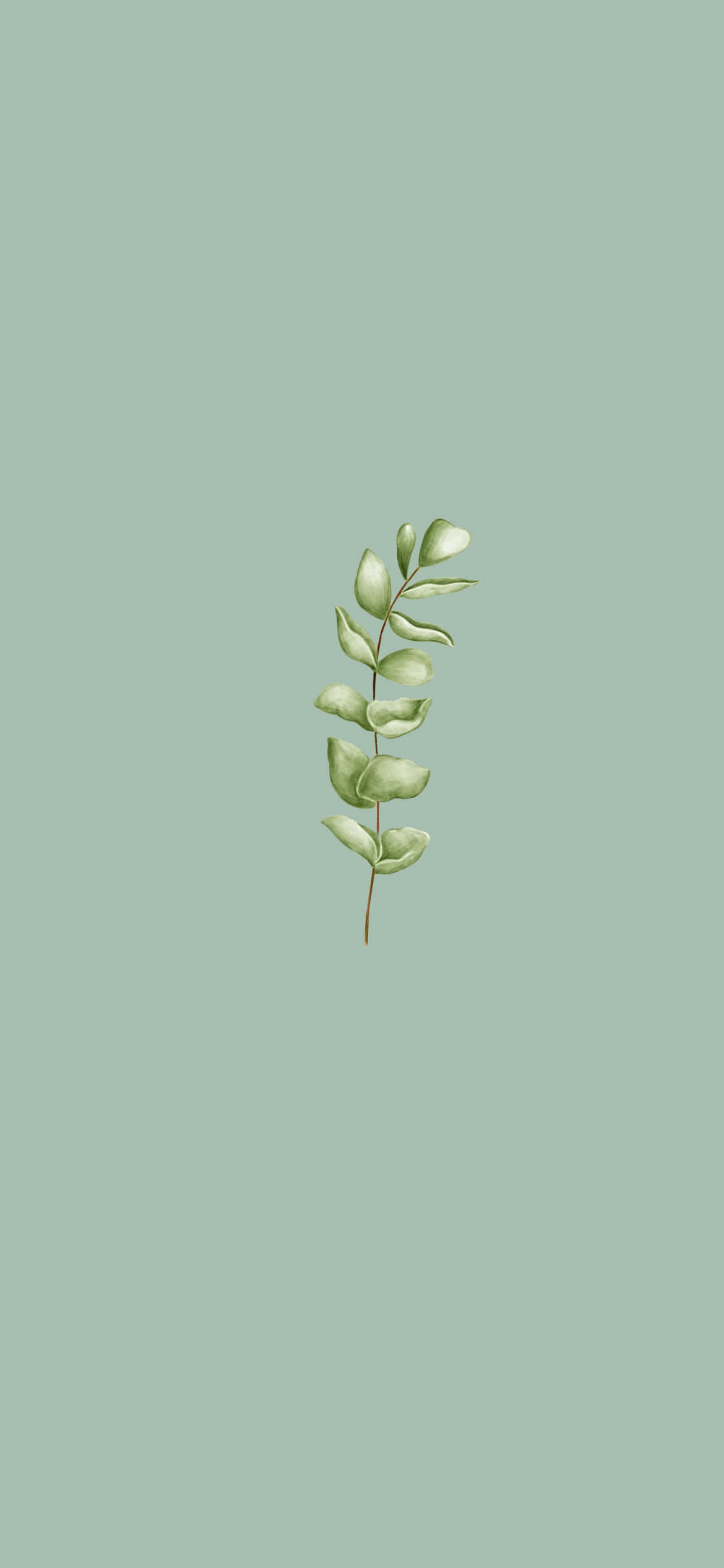 et grønt blad på en blå baggrund Wallpapers