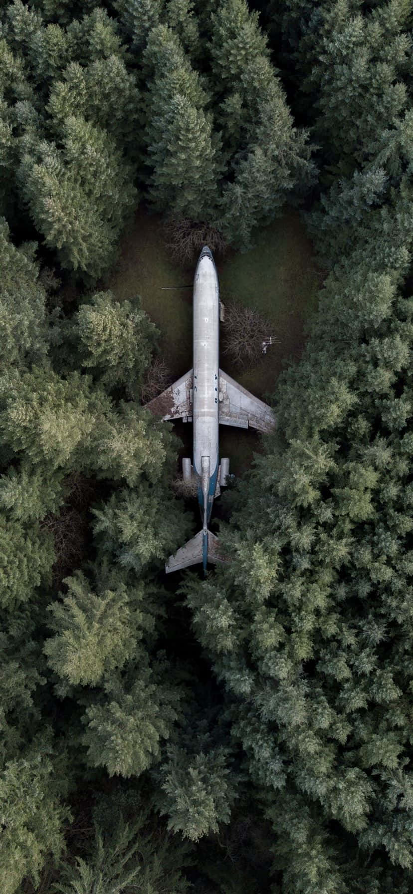 Et hvidt fly i flugt mod en blå himmelbaggrund på en iPhone. Wallpapers