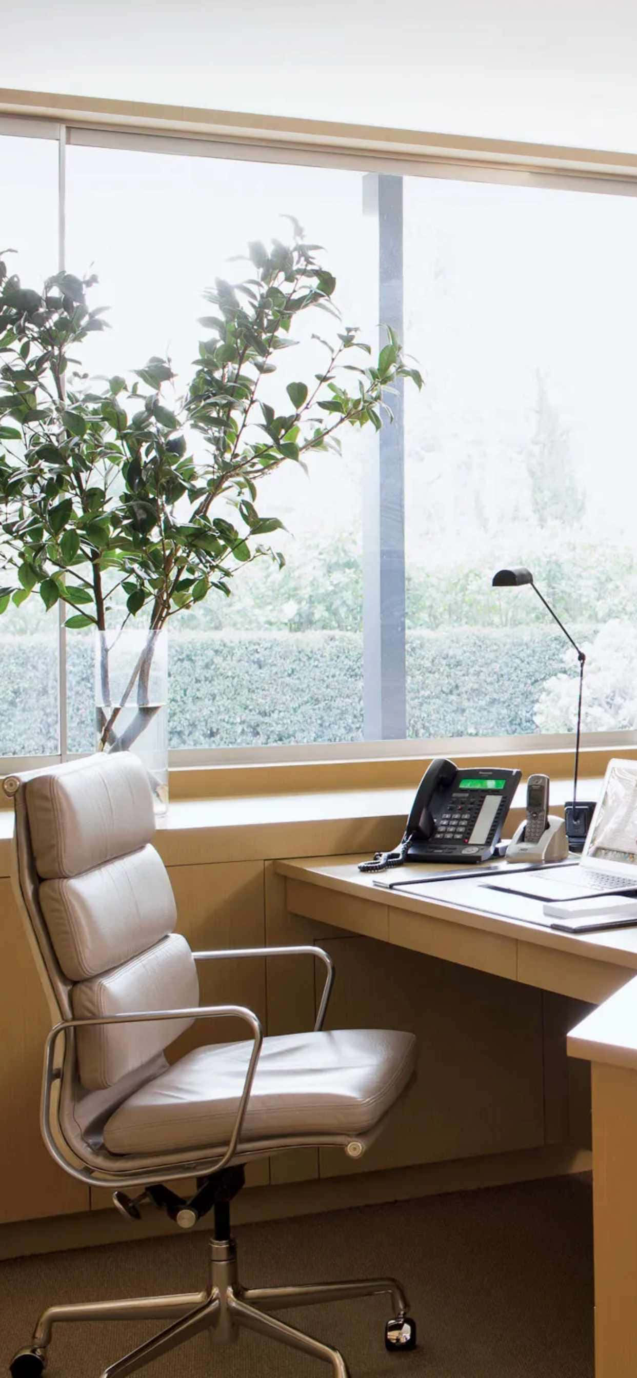 et hvidt skrivebord med en stol og en plante Wallpapers