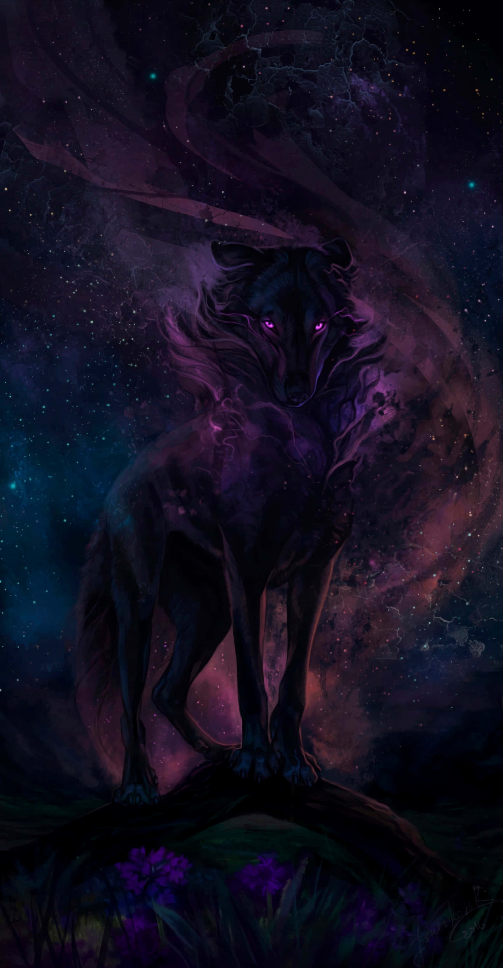 Et intenst blik fra en super sej ulv Wallpapers