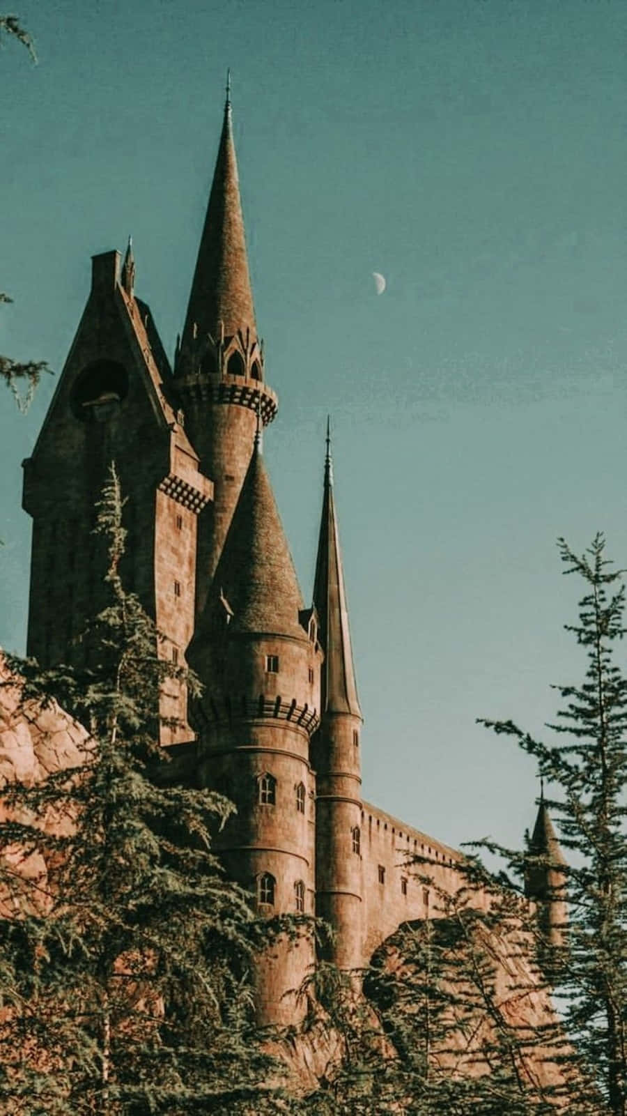 Et mørkt og mystisk æstetisk udtryk fra Harry Potters verden Wallpapers