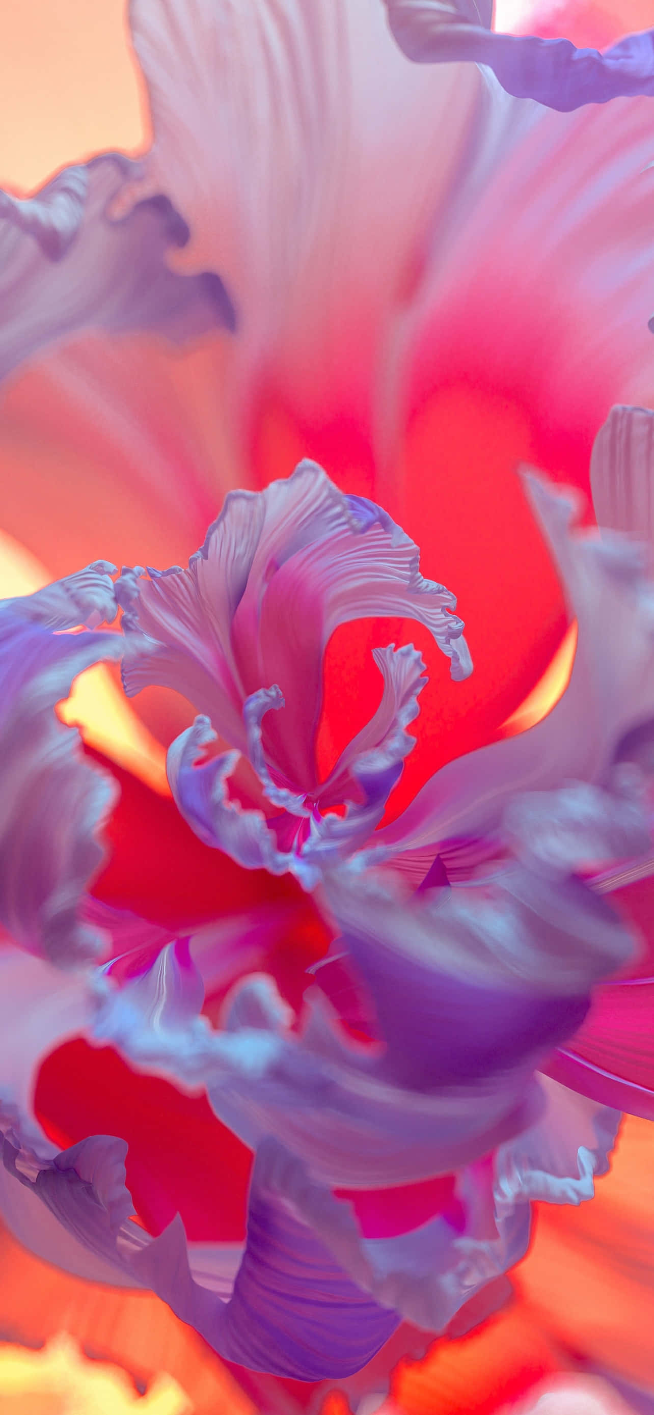 Nærbillede af en skinnende lilla blomst Wallpapers