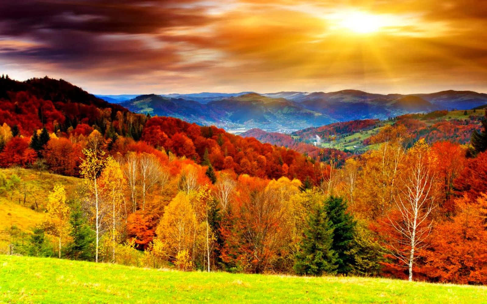 Et naturskønt panorama af efterårets klare farver på en computerbaggrund Wallpapers