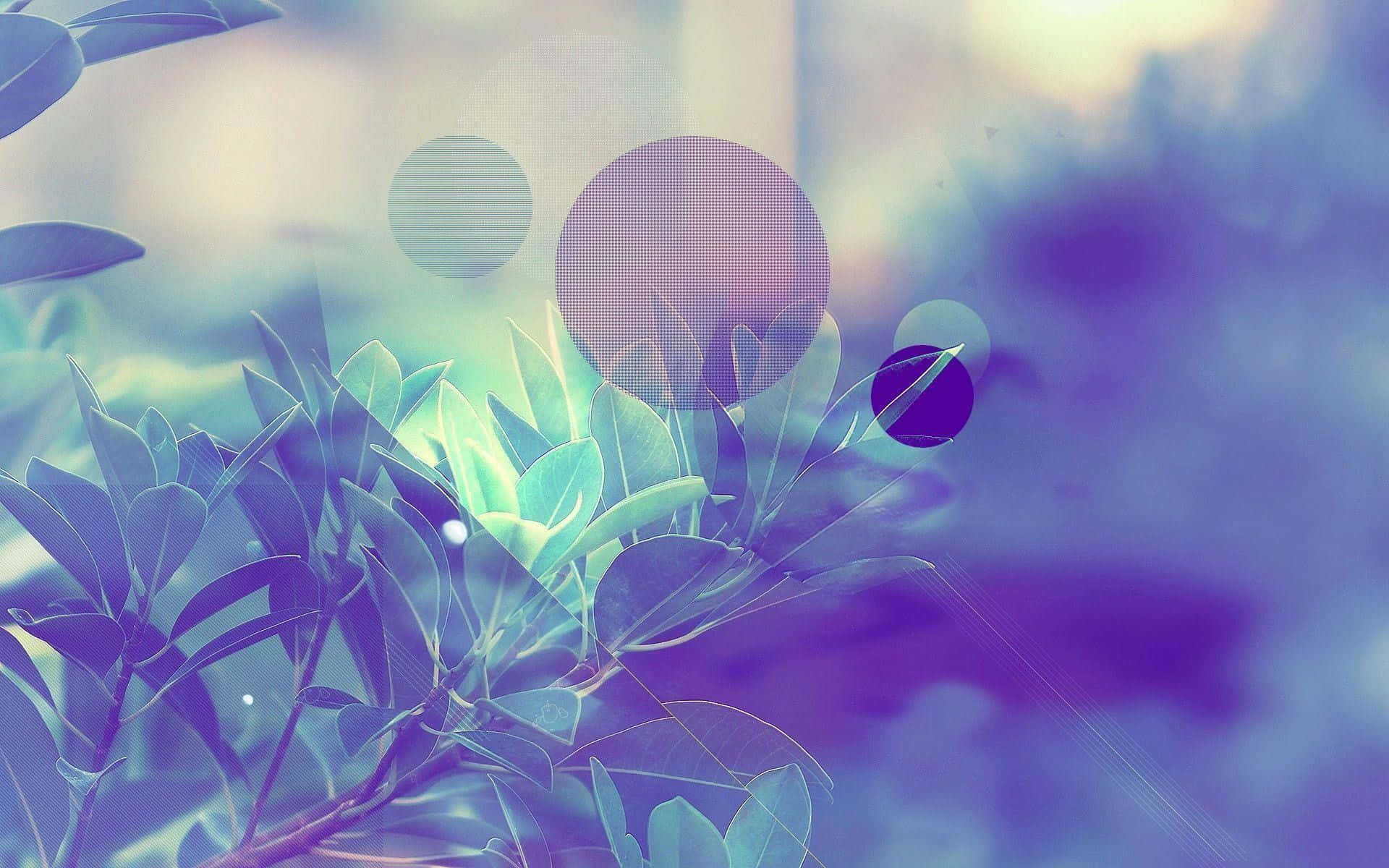 et sløret billede af en plante Wallpapers