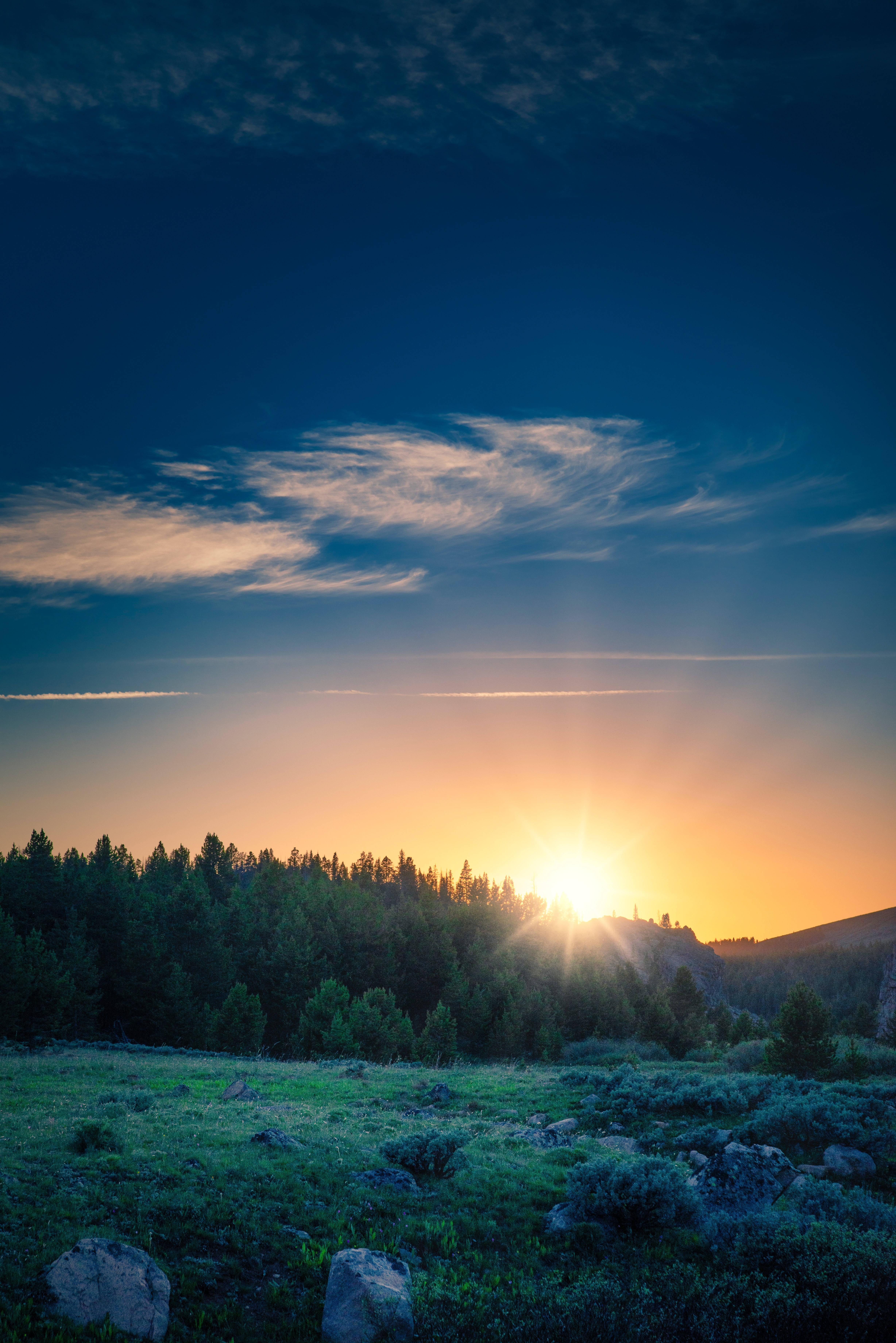 Et smukt skov-bjerglandskab ved daggry Wallpapers