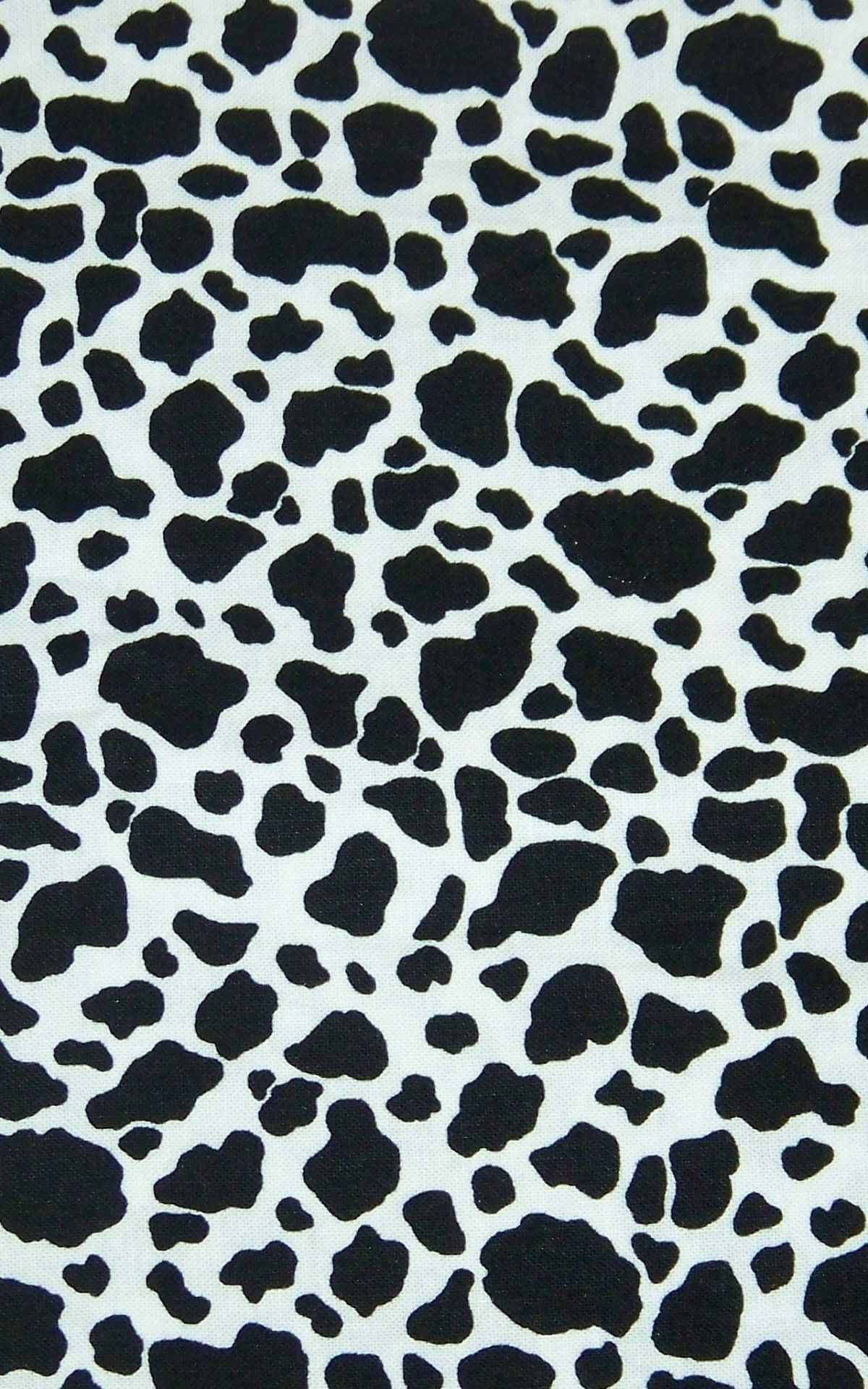 et sort og hvidt ko-print stof Wallpapers
