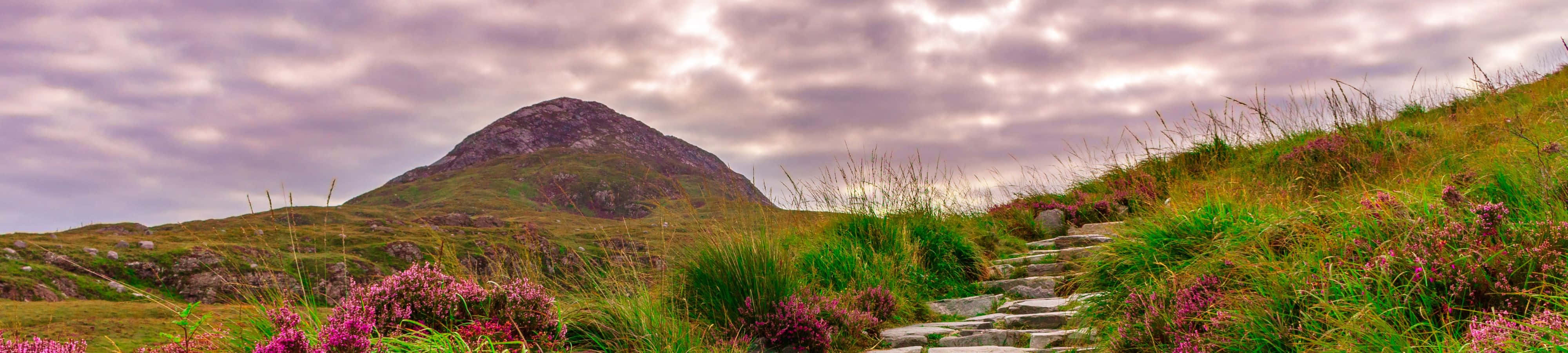 "Et syn på naturens ro" Wallpapers