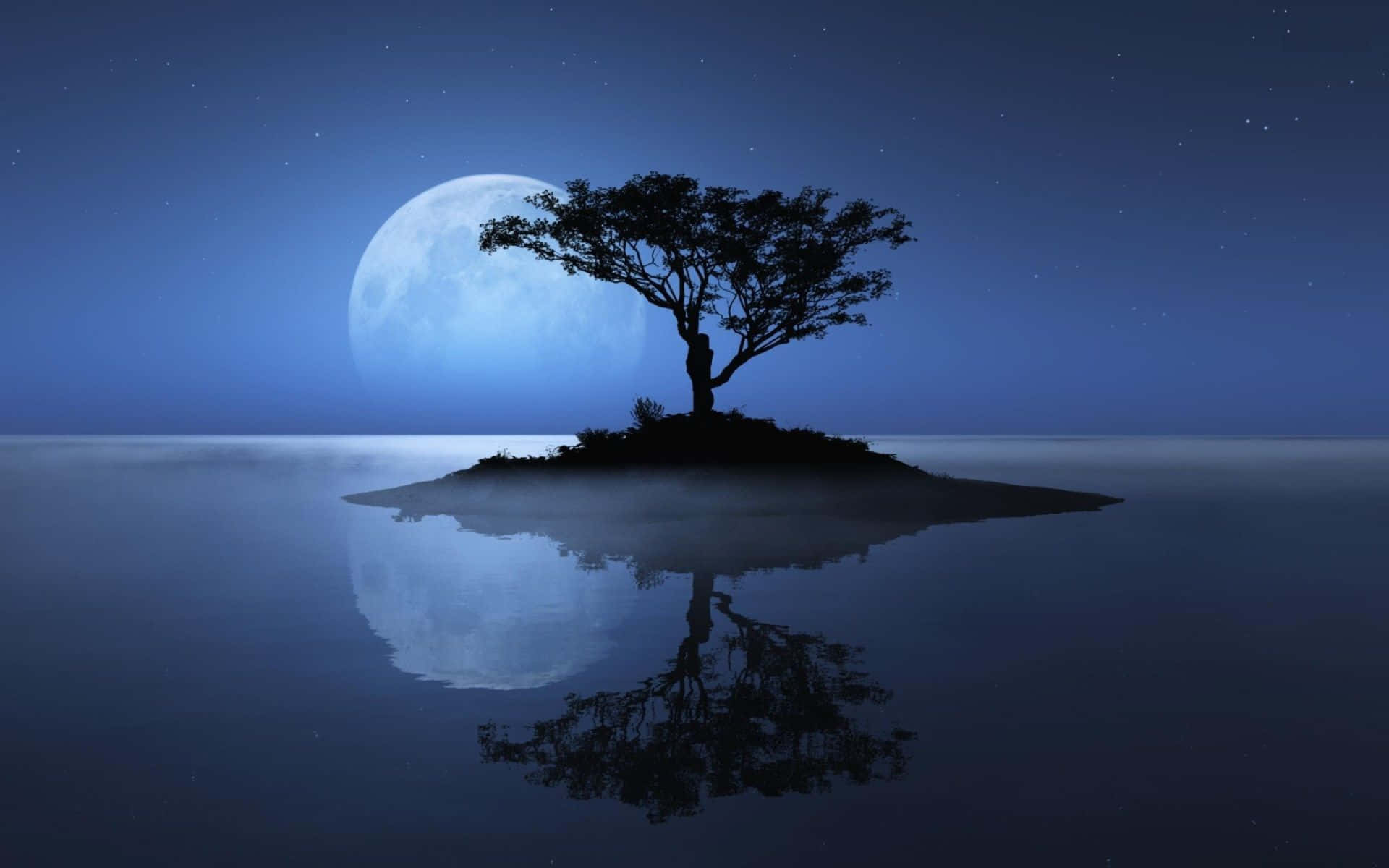 et træ på en ø med månen i baggrunden Wallpapers