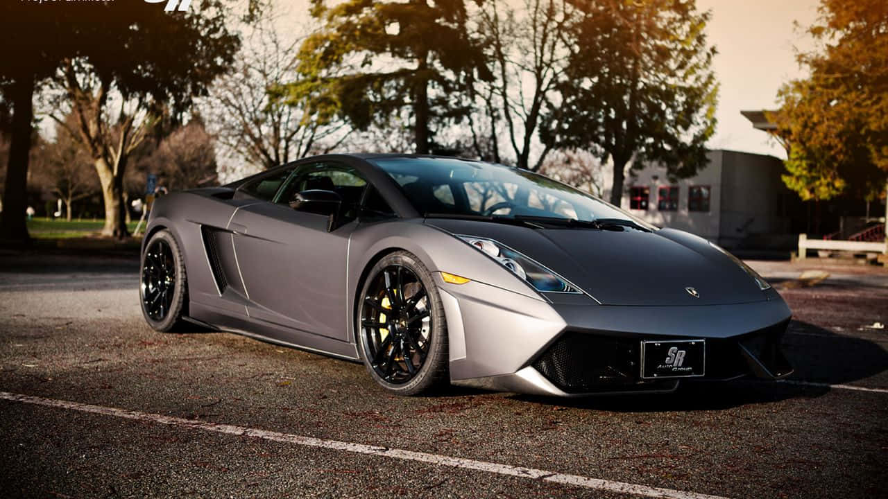 Et udsyn over den hurtige spilaction i Project Cars Wallpapers