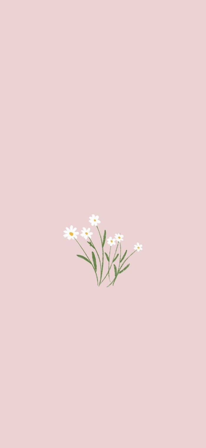 Et udsyn til minimalistisk forår Wallpapers