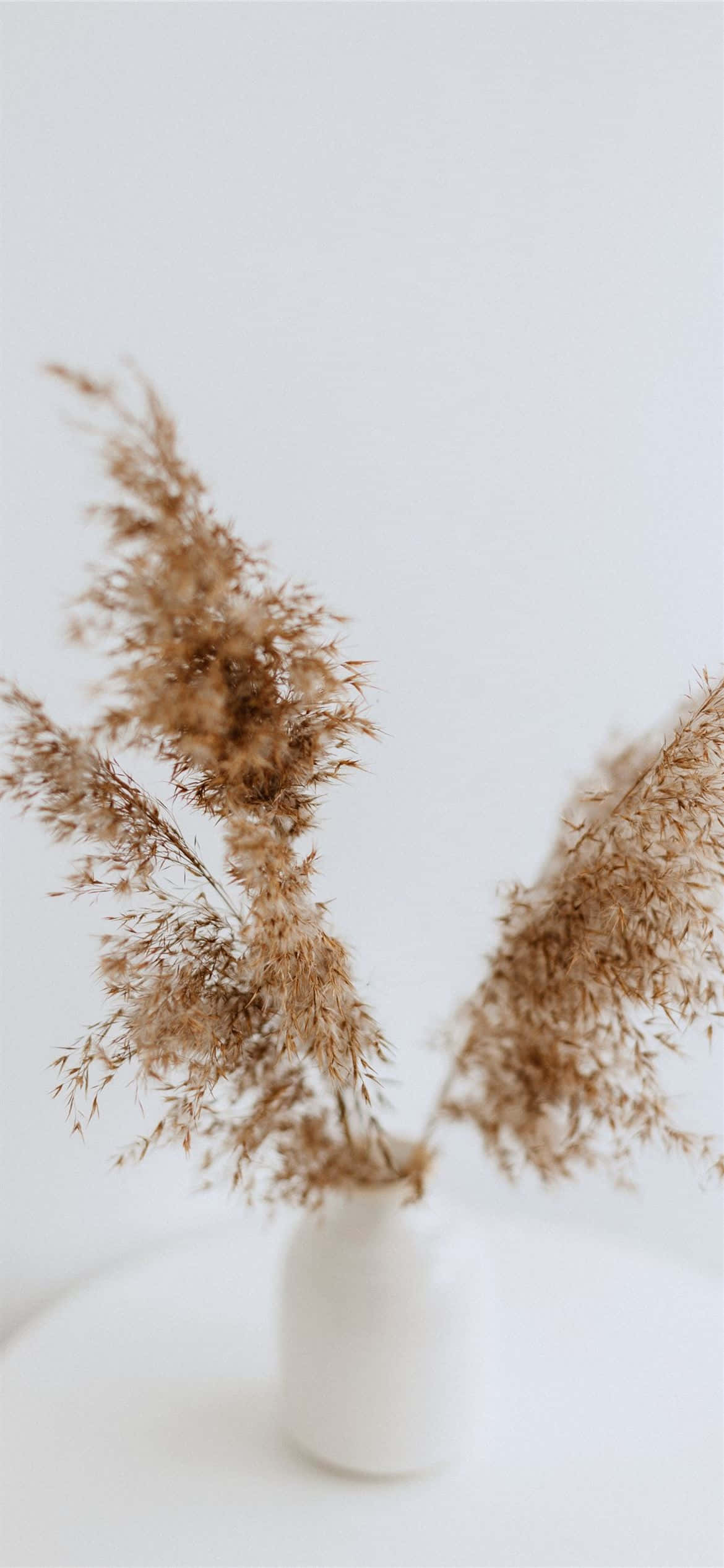 Et varmt mønster af brun og hvid, der udstråler naturlig elegance Wallpapers