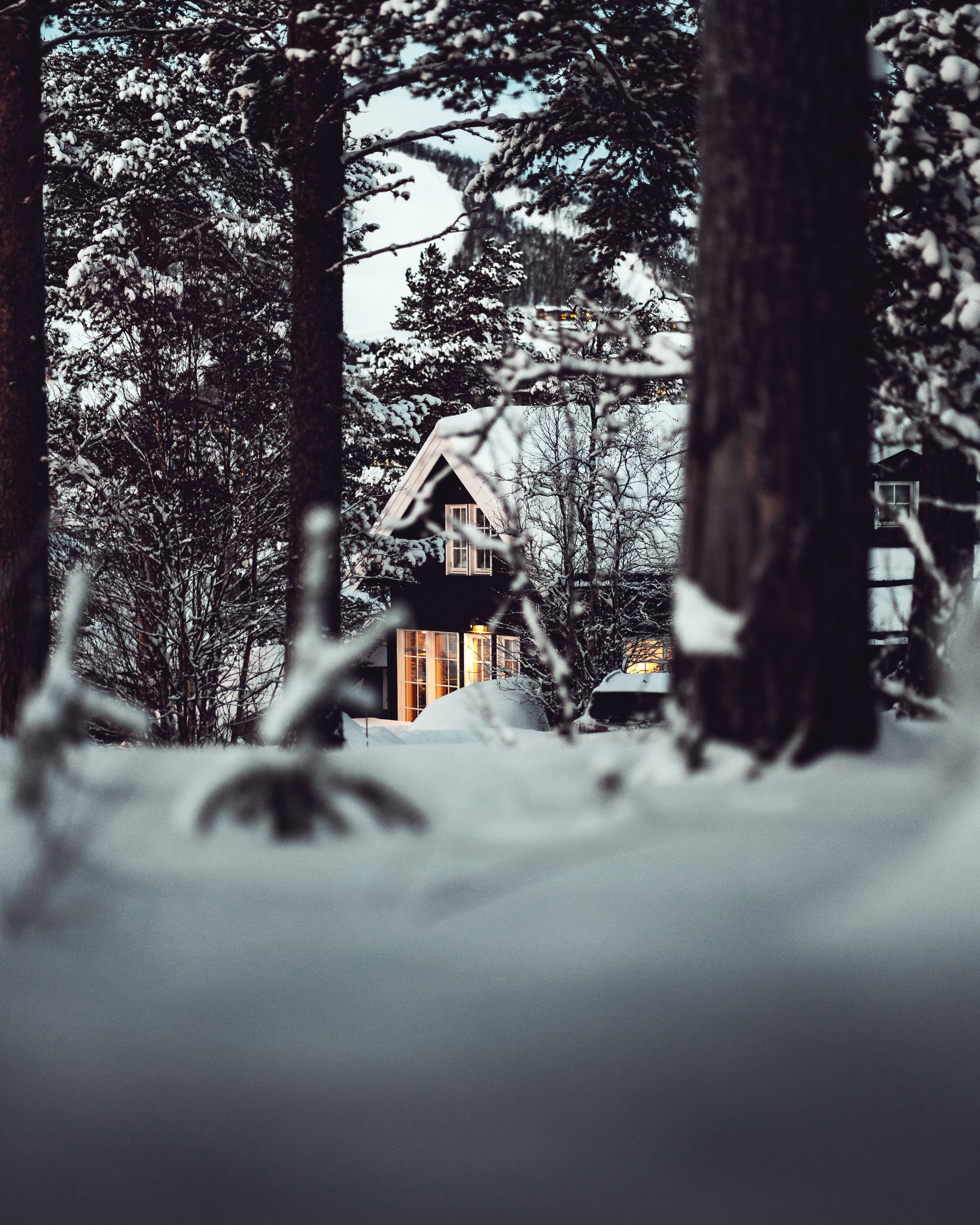 Et vinterland Wallpapers