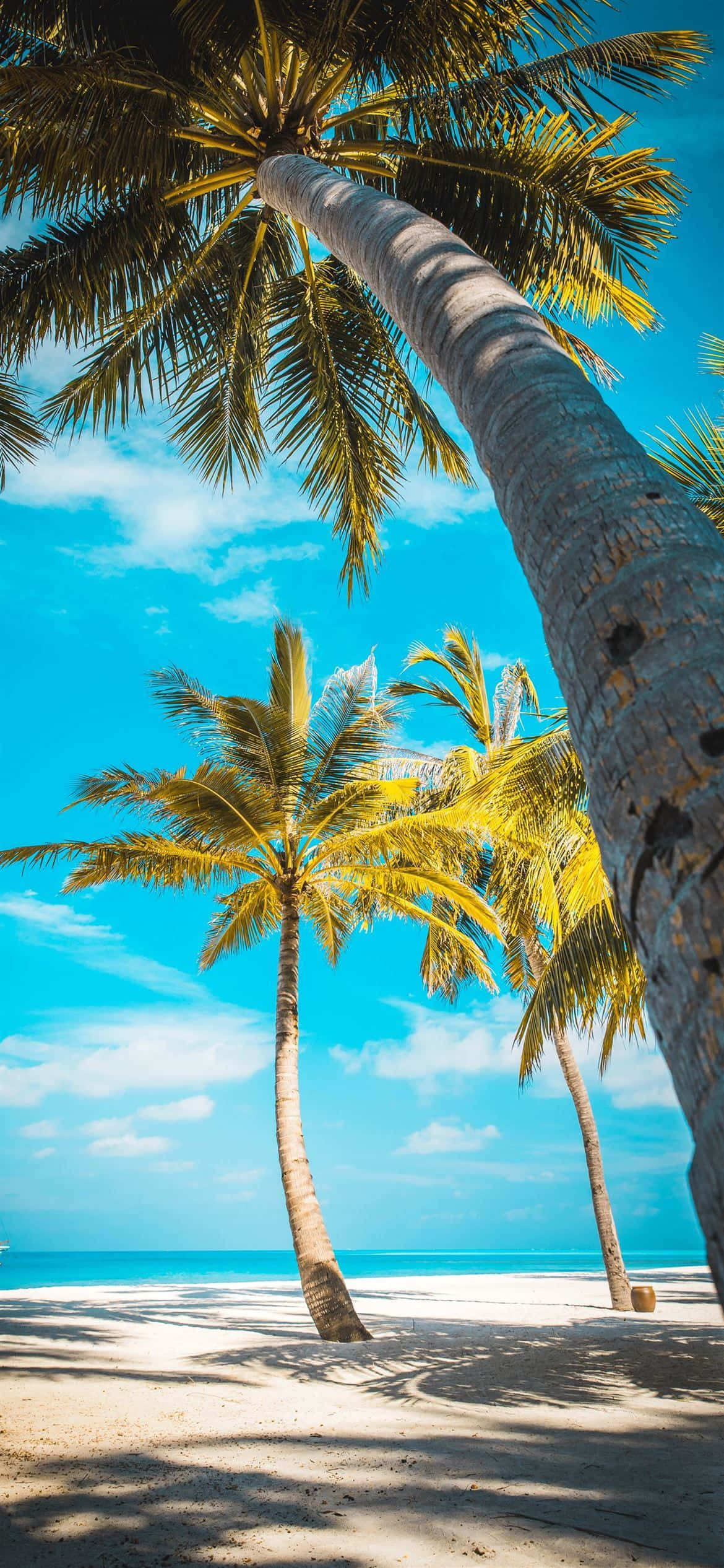 Få den nyeste Apple iPhone 12 Pro og tag på et eventyr ud over det sædvanlige Wallpapers