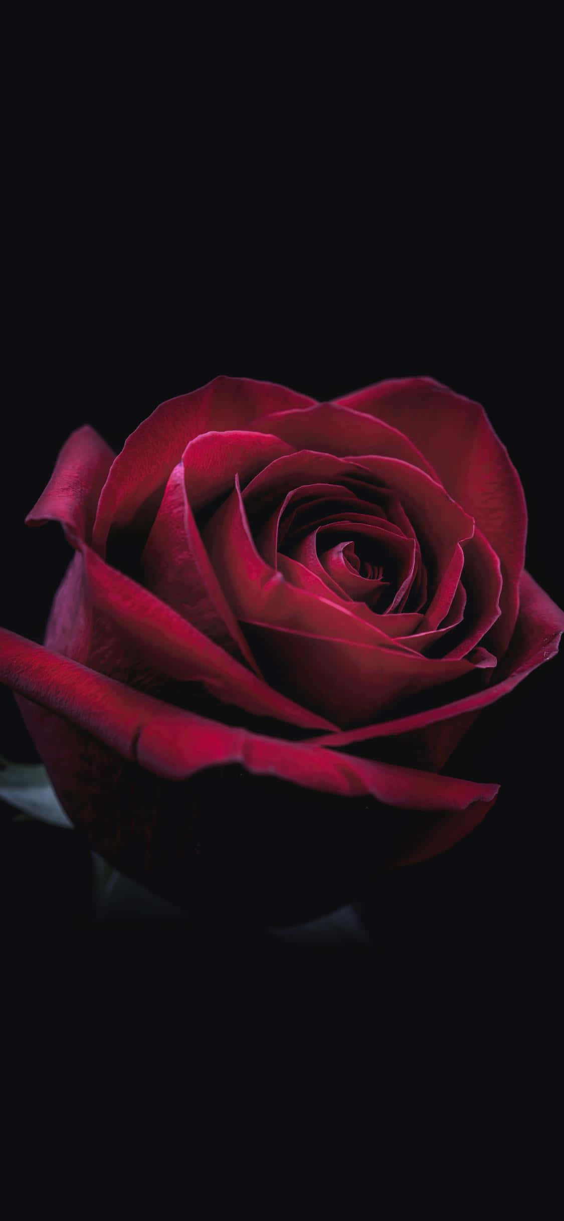 Få den ultimative OLED-oplevelse med den højt anerkendte iPhone Xs Max! Wallpapers