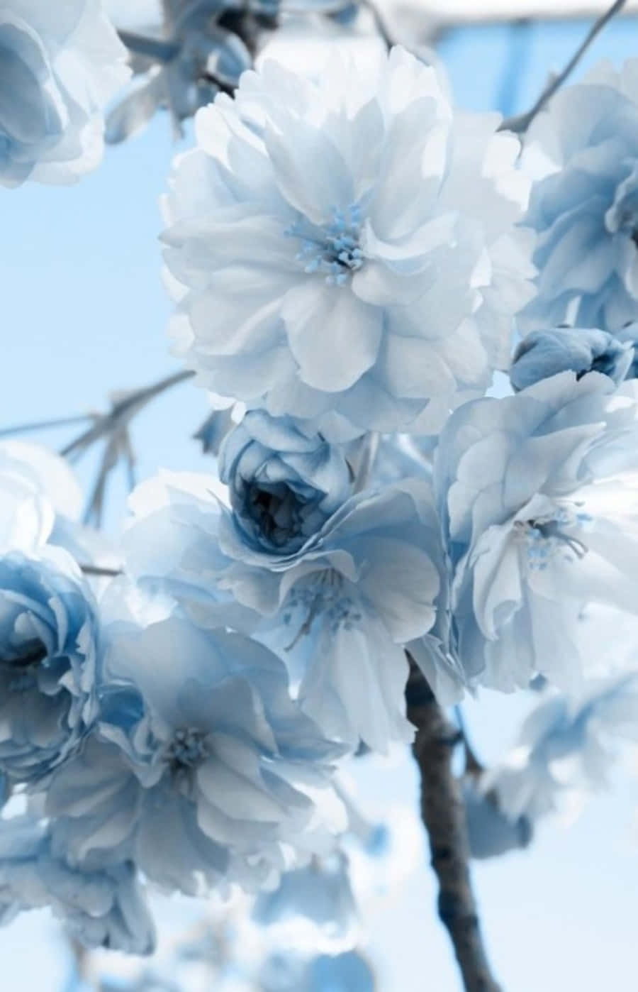 Få et fugleperspektiv over byen Wallpapers