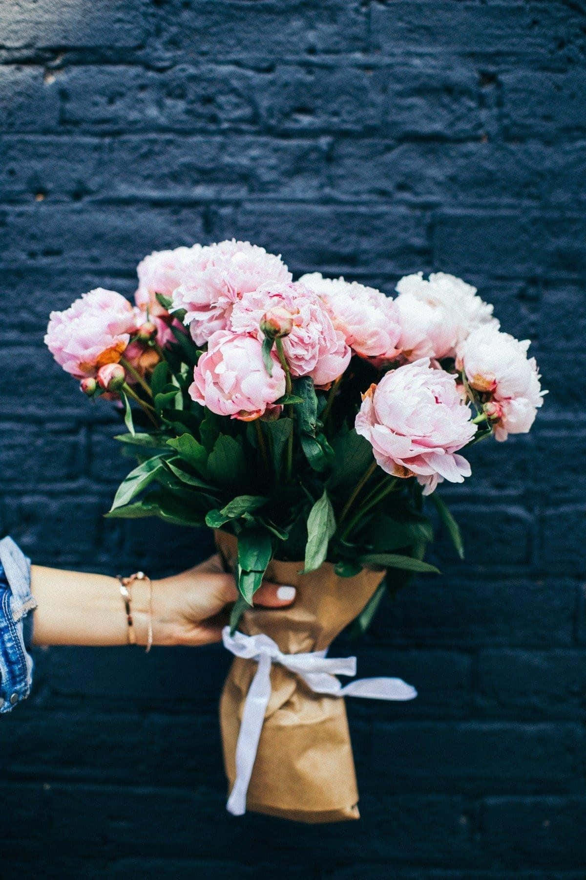 Få fat i denne smukke Apple iPhone med et blomstret baggrundstryk. Wallpapers