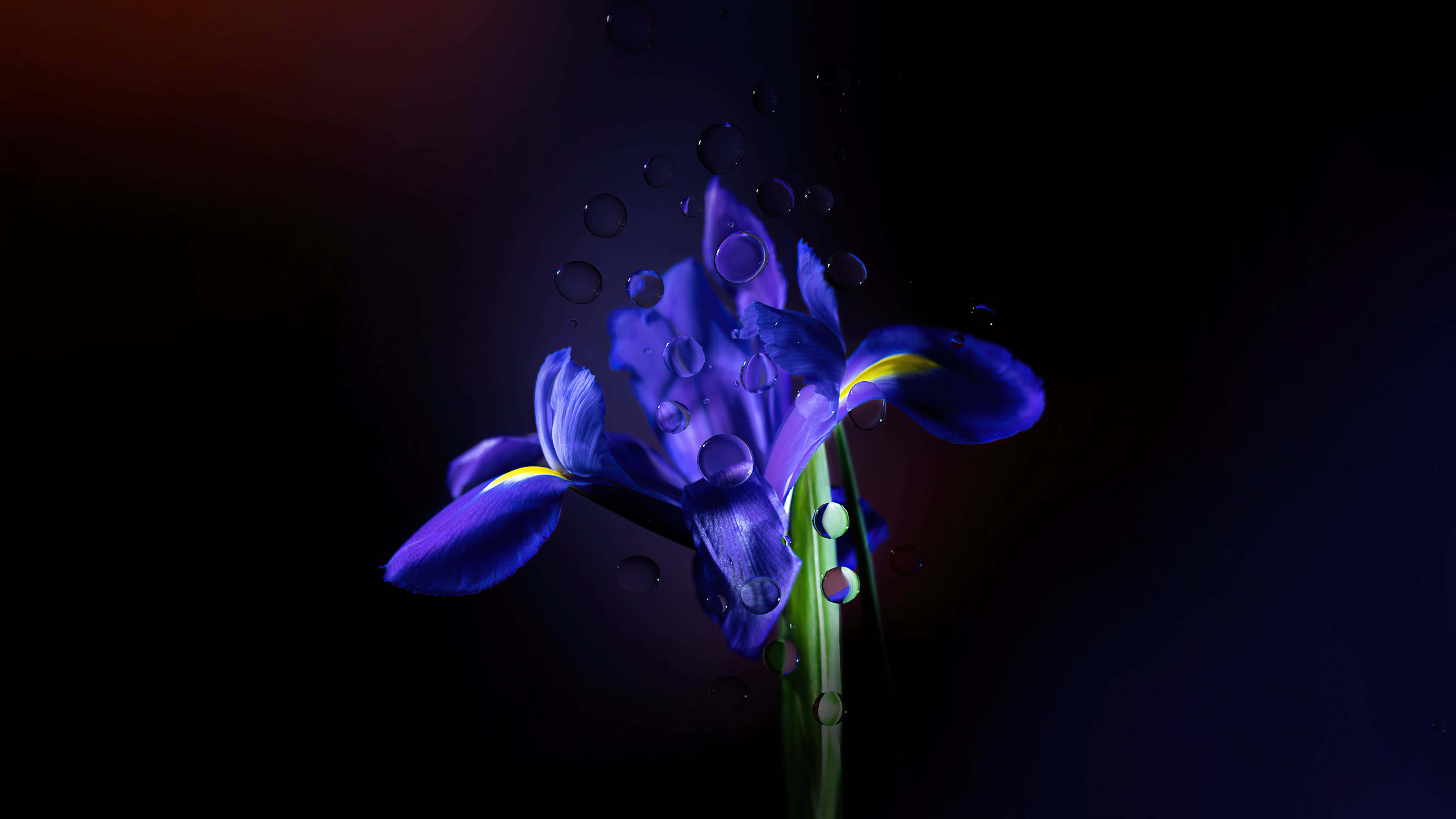 Få mest muligt ud af en Chromebook Wallpapers