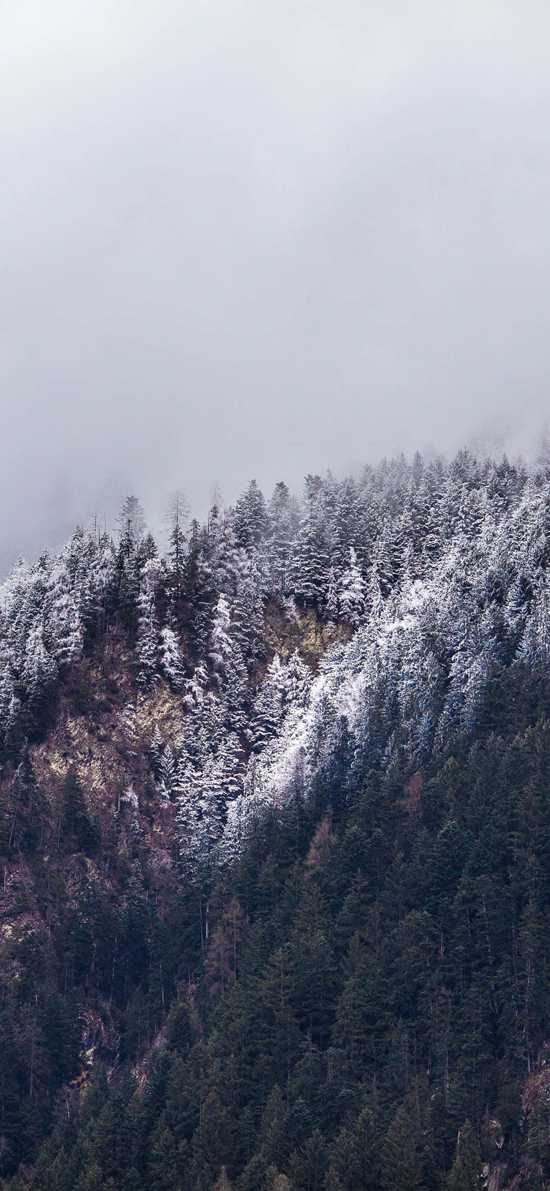 Fængslende iPhone X Naturbaggrund Wallpapers