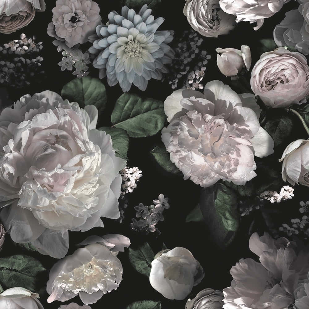 Fængslende mørk blomsterbaggrund Wallpapers