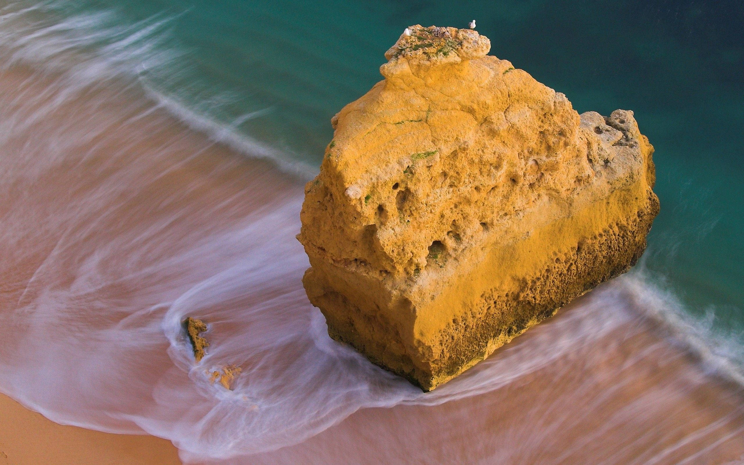 Fang den fantastiske skønhed af havet Wallpapers