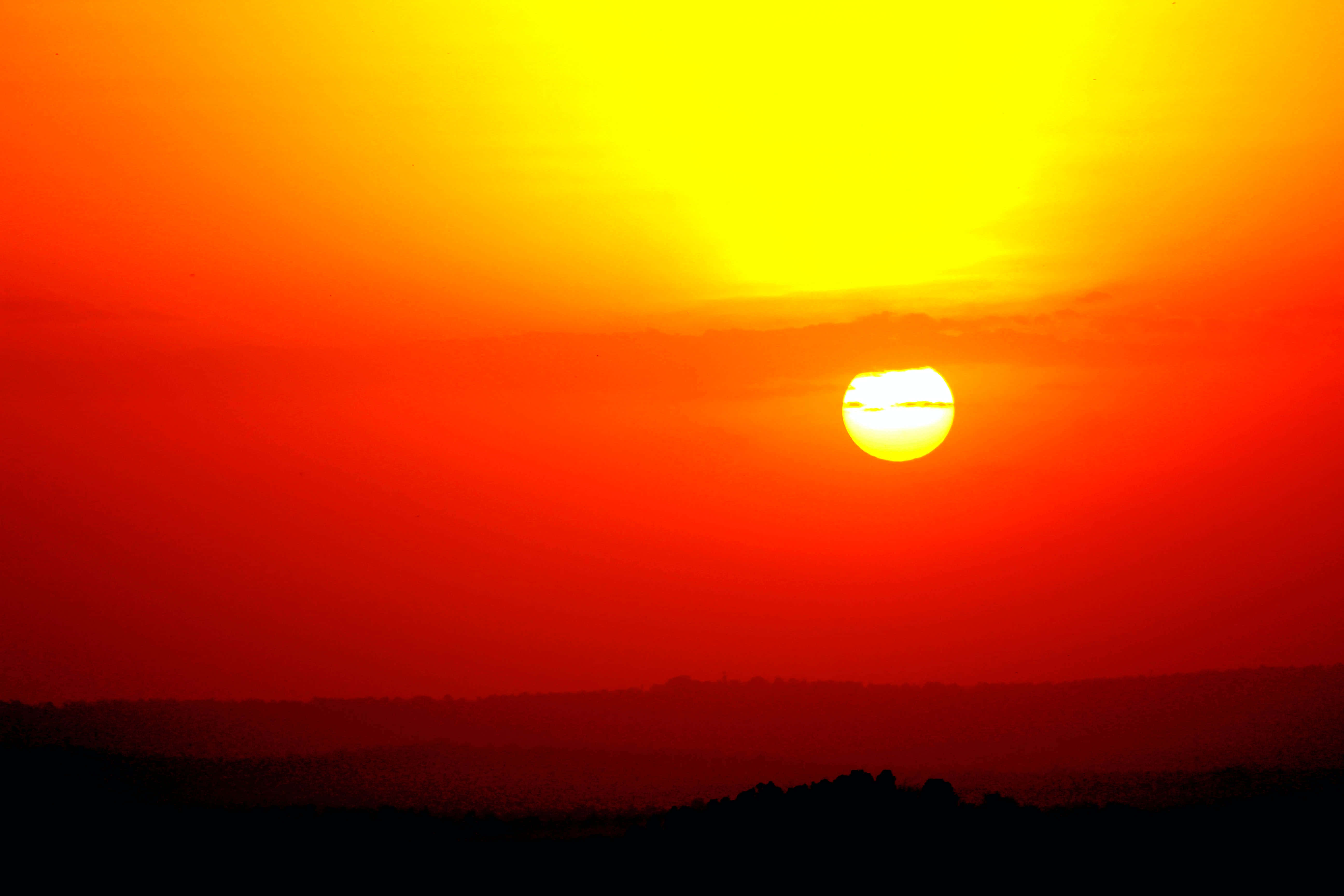 Fang et glimt af naturens skønhed ved solnedgang. Wallpapers