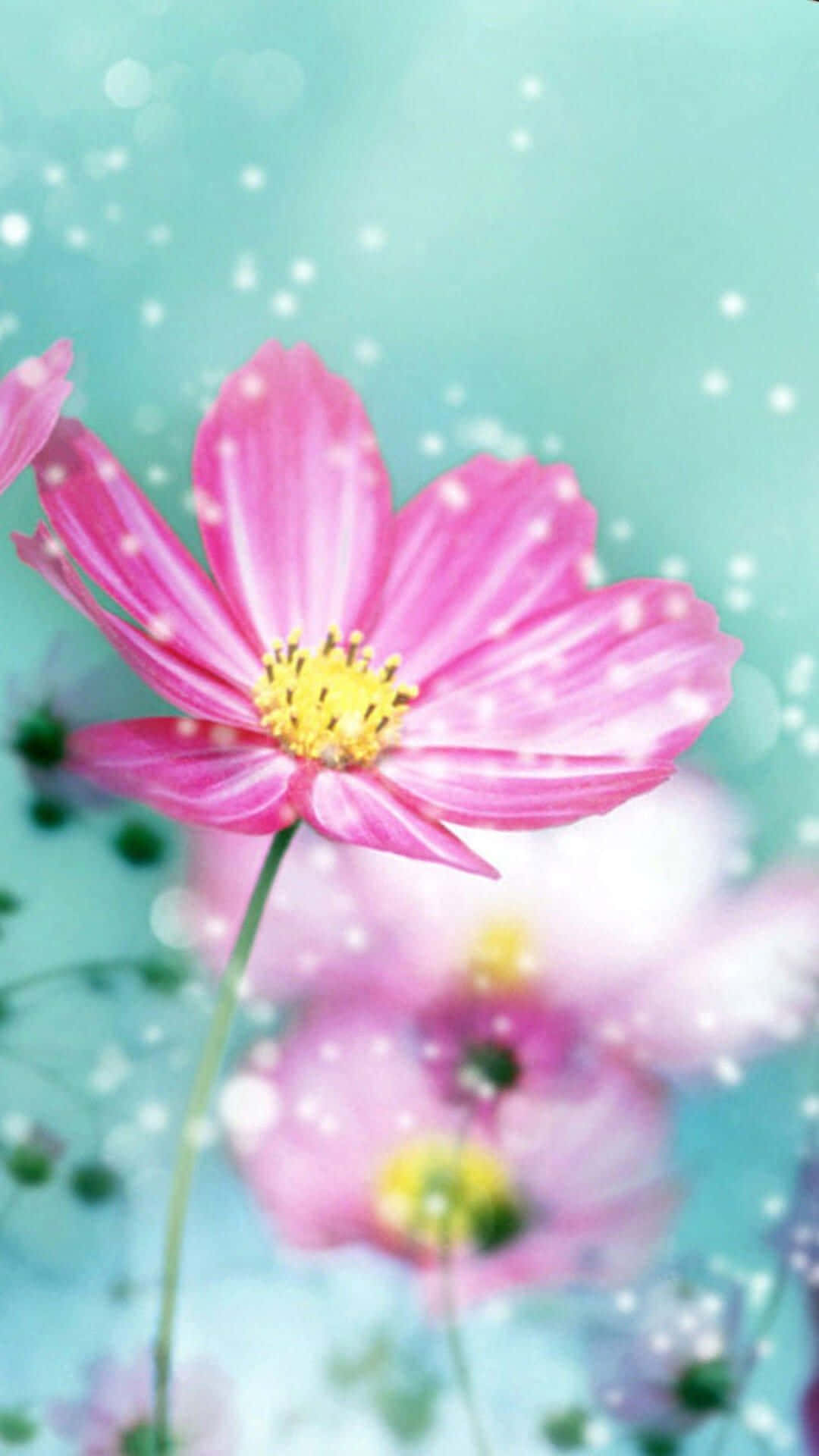 Fang naturens skønhed med dette farverige blomster iPhone-baggrundsbillede Wallpapers