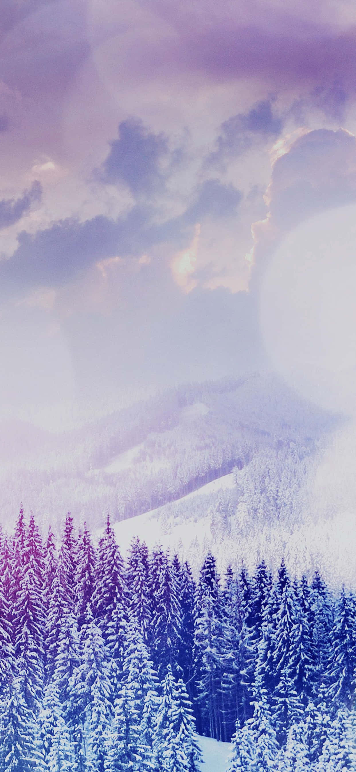 Fangende vinterlandskab til iPhone XS Max Wallpapers